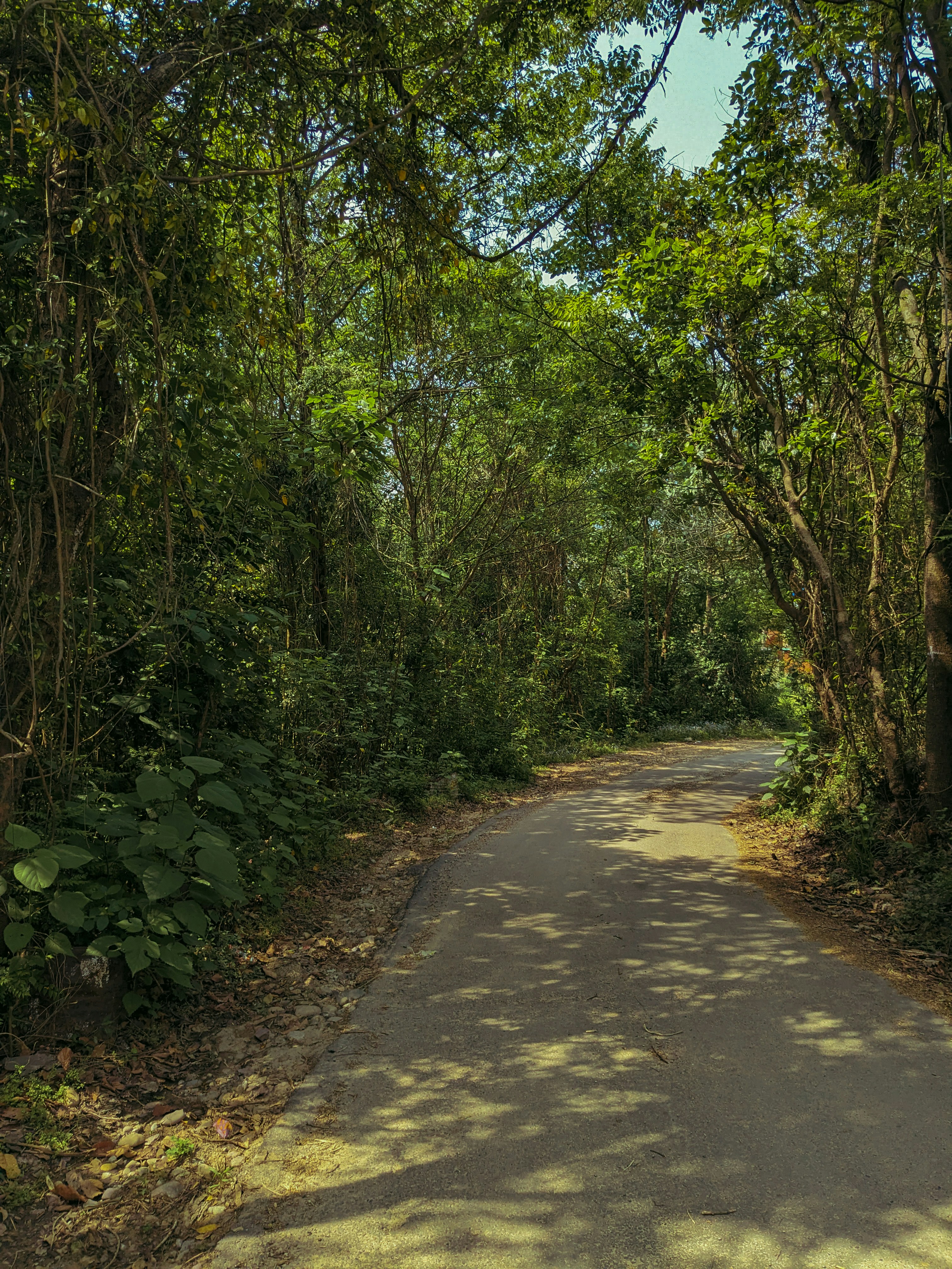 Photo by parvindersingh1999