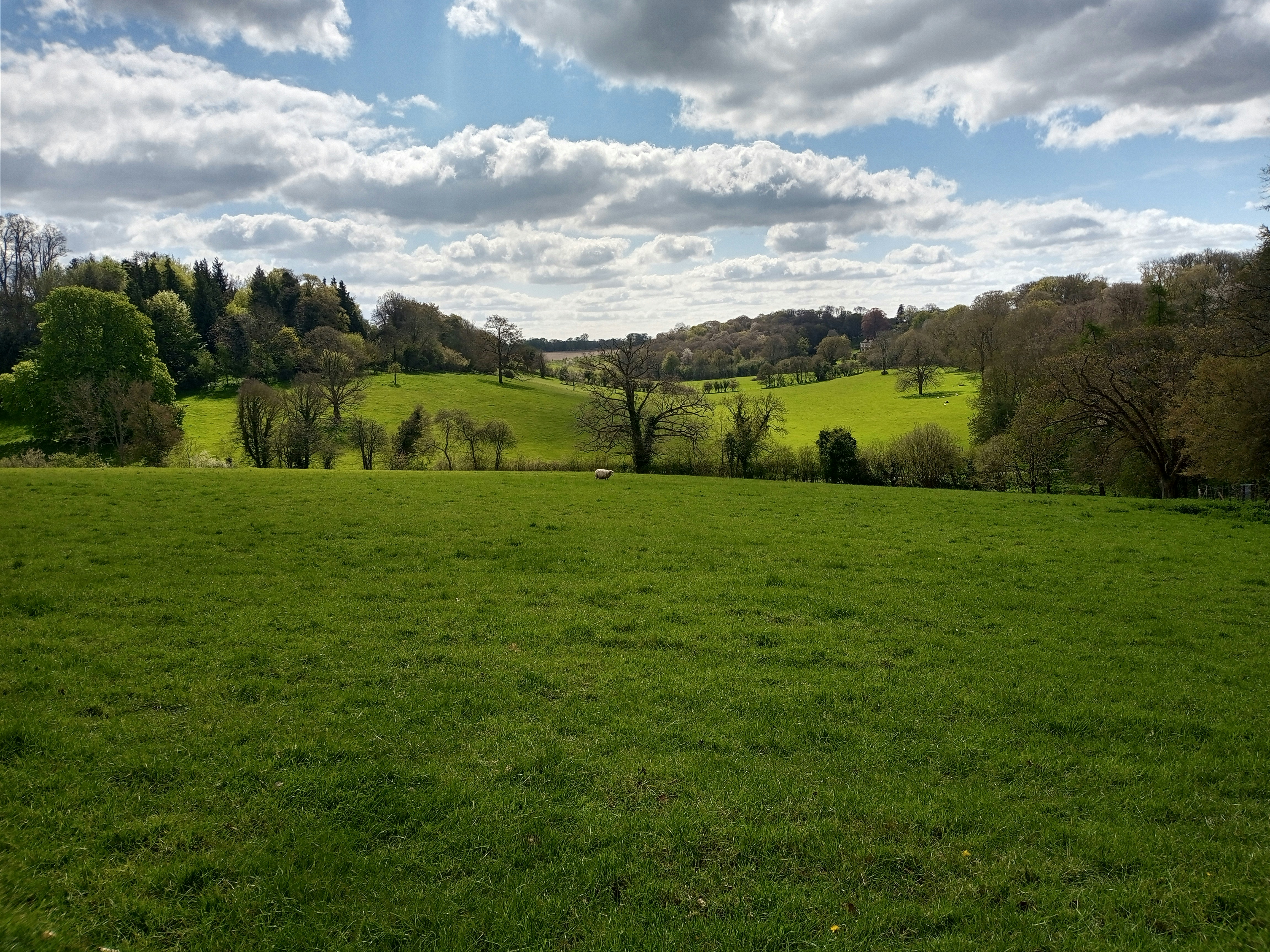 Photo by sambrodzinski21