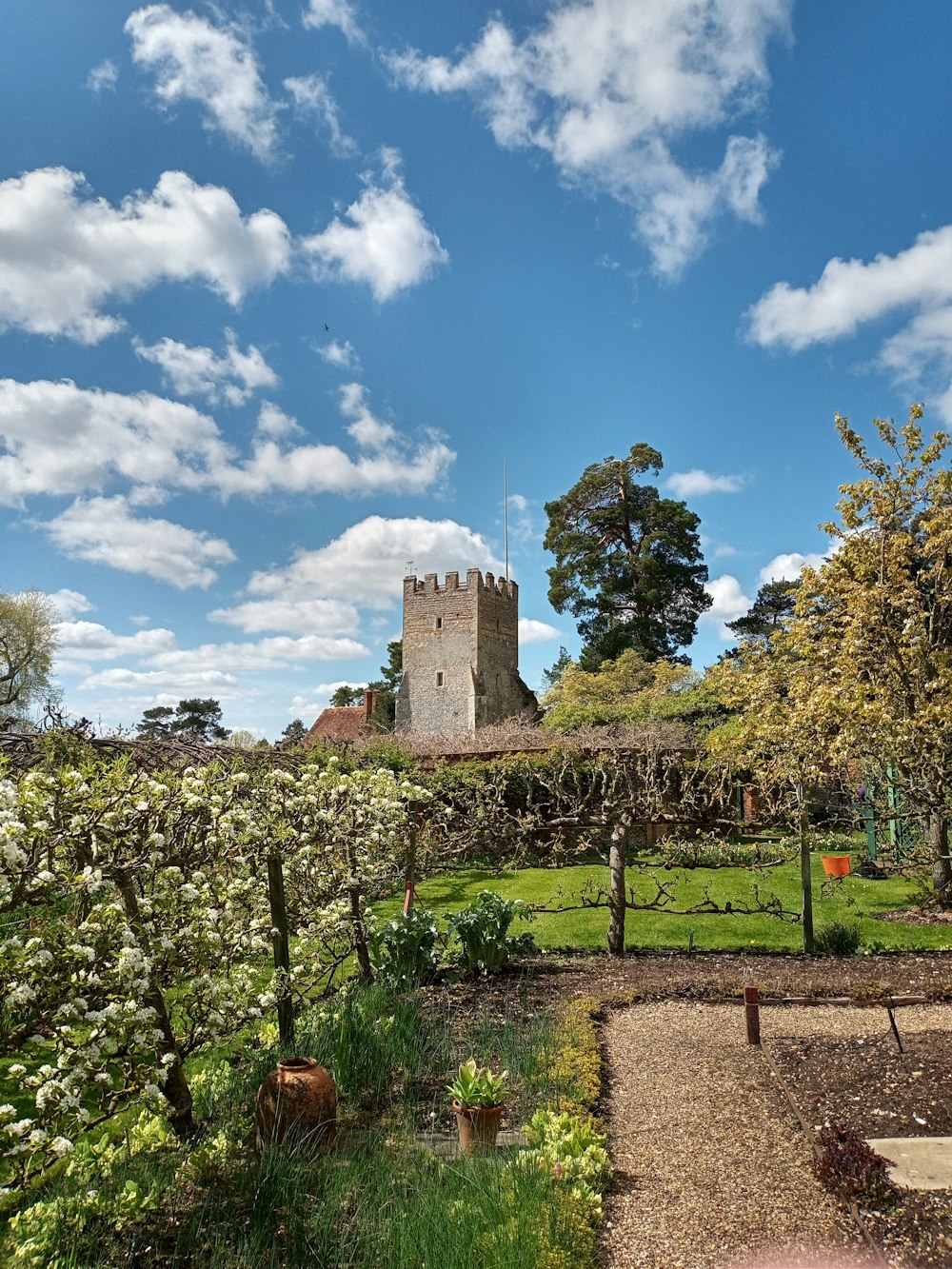 a garden with a castle in the background