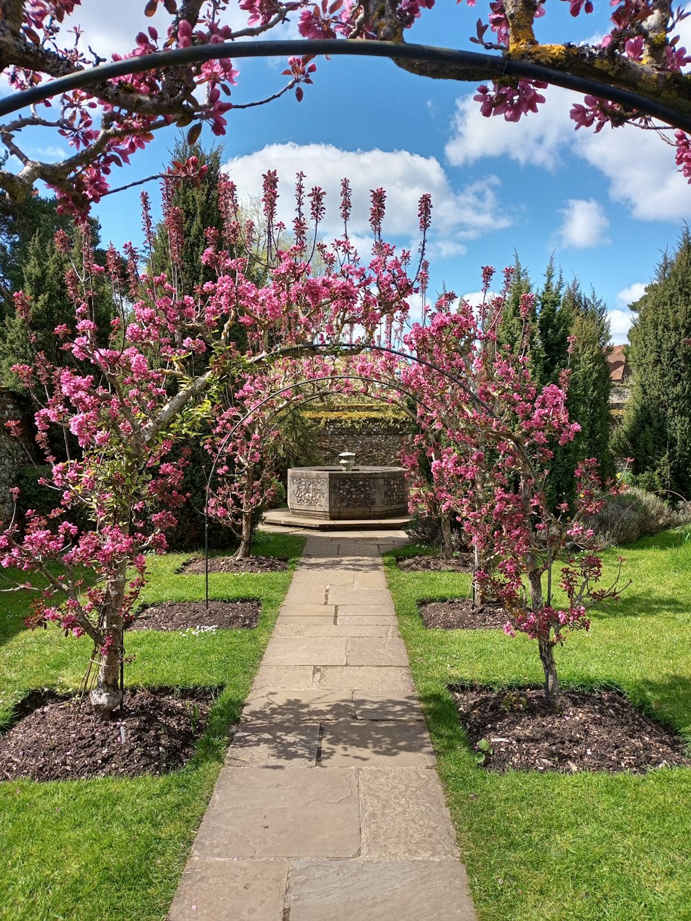 a path through a garden with pink flowers