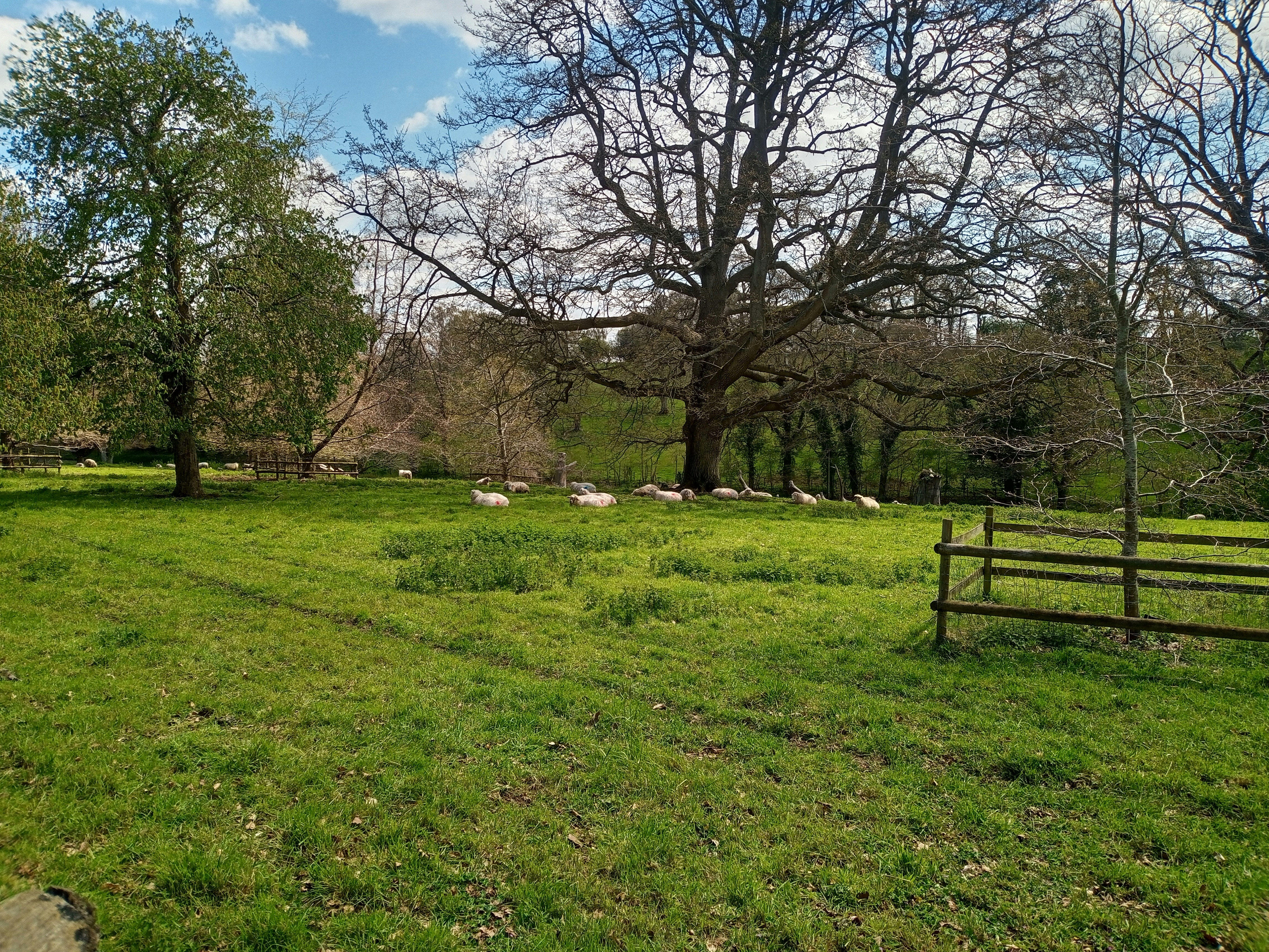 Photo by sambrodzinski21