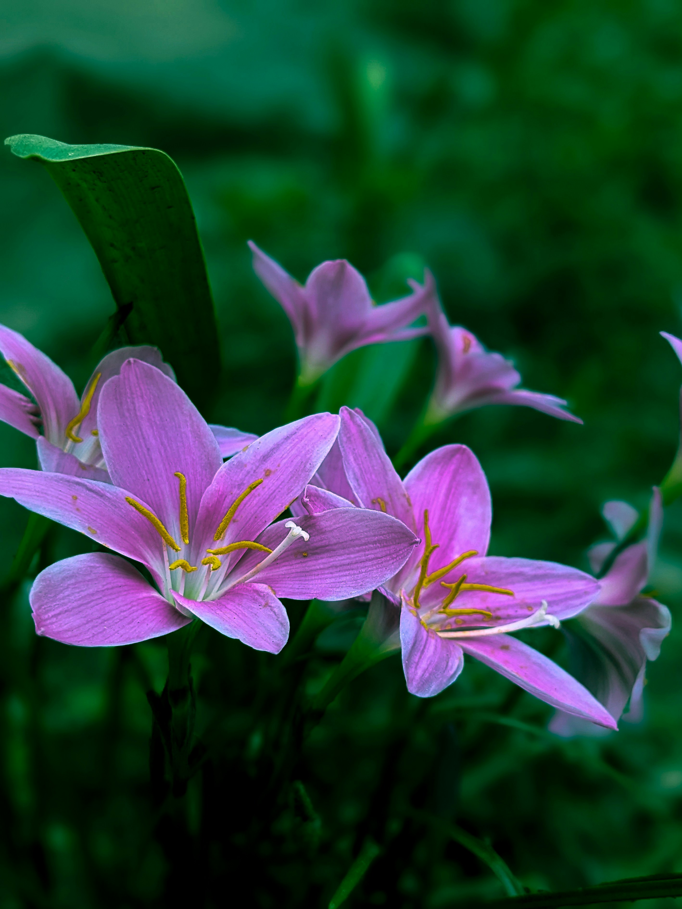 Photo by parvindersingh1999