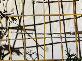 Close-up of a verdelis metal plant trellis casting intricate shadows in morning sunlight.