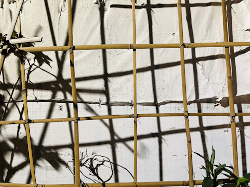 Close-up of a verdelis metal plant trellis casting intricate shadows in morning sunlight.