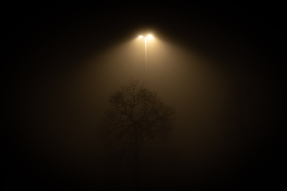 a foggy night with a street light and a tree