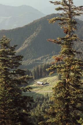 A peaceful valley surrounded by towering forested mountains, with a rustic wooden cabin nestled among the trees. Sunlight softly illuminates the lush greenery, creating a serene and tranquil atmosphere.