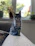 A happy customer playing with their new kitten in a cozy living room.