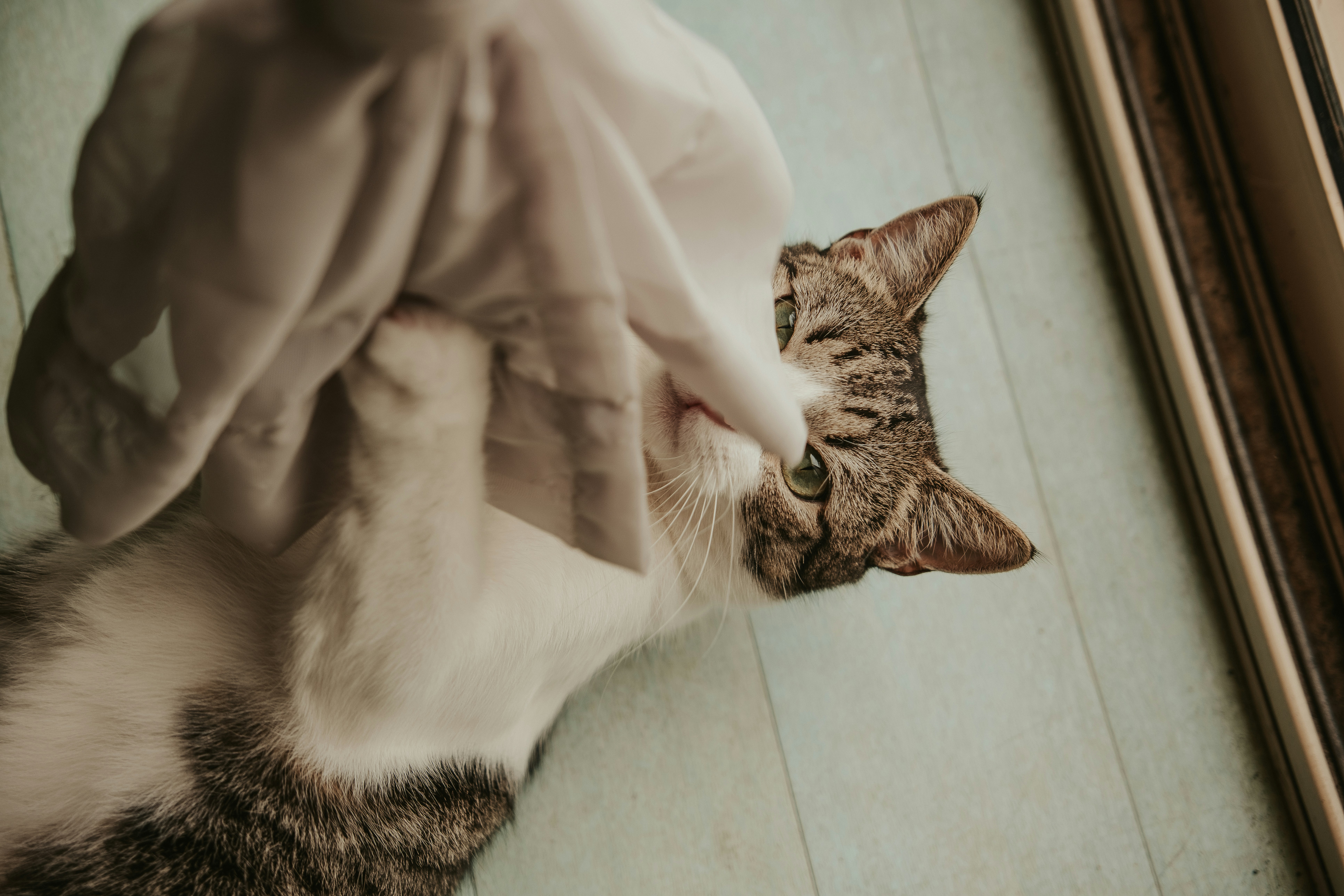 Photo by itswilldeng