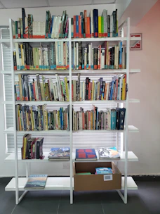 A white shelving unit filled with books of various sizes and colors, neatly organized across multiple levels. Some books are stacked horizontally on lower shelves with two magazines or thin books featuring colorful covers. A cardboard box containing more books or materials is placed on one of the lower shelves. The shelving is positioned in front of a set of blinds, allowing light to filter through partially.
