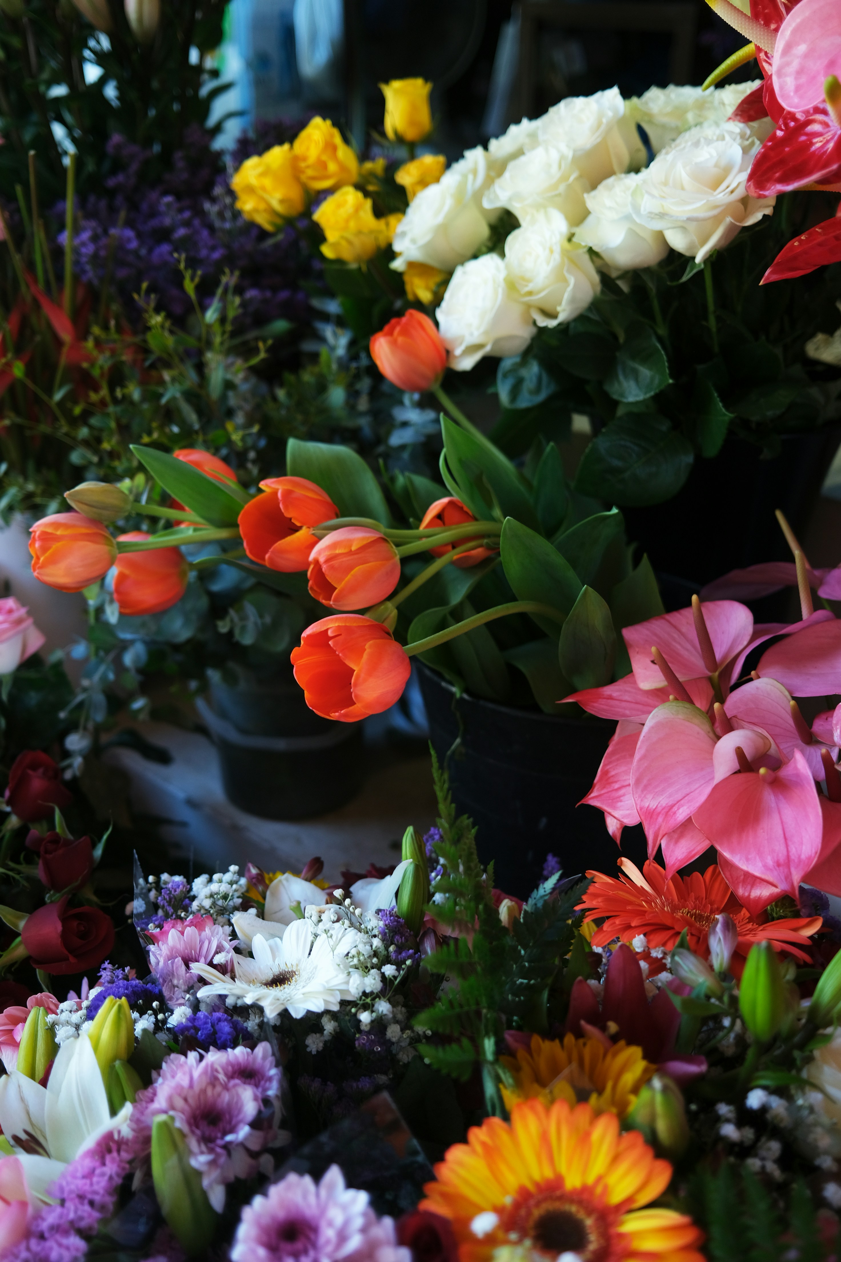 Photo by filipp_roman_photography