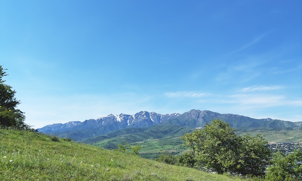 a grassy hill with trees and mountains in the background