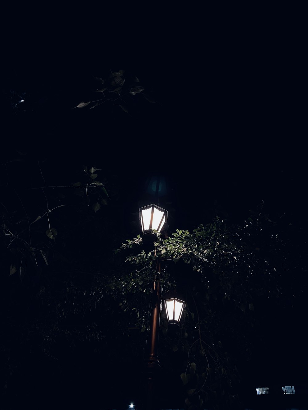 a street light is lit up in the dark