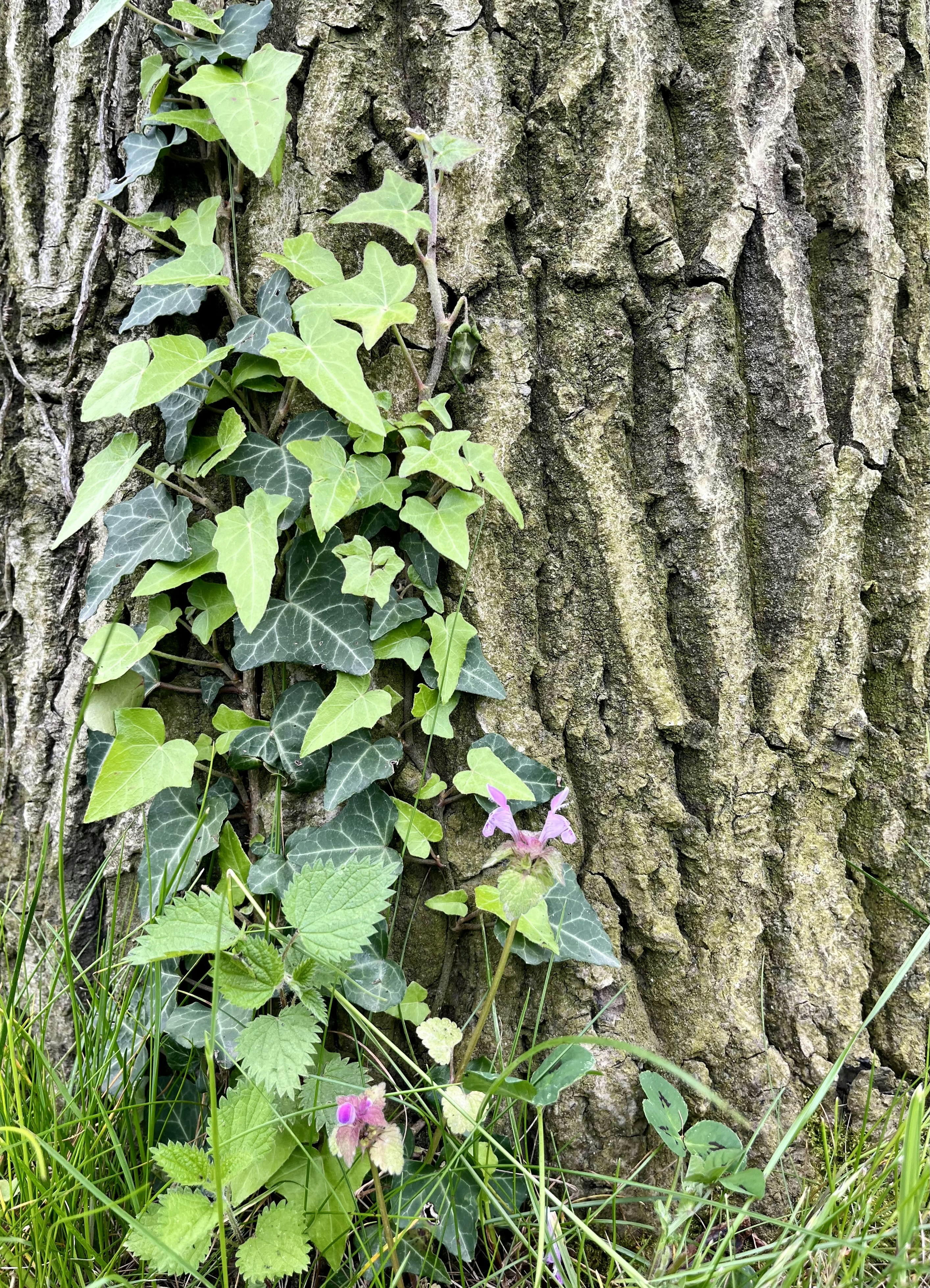 Photo by mojganshabani