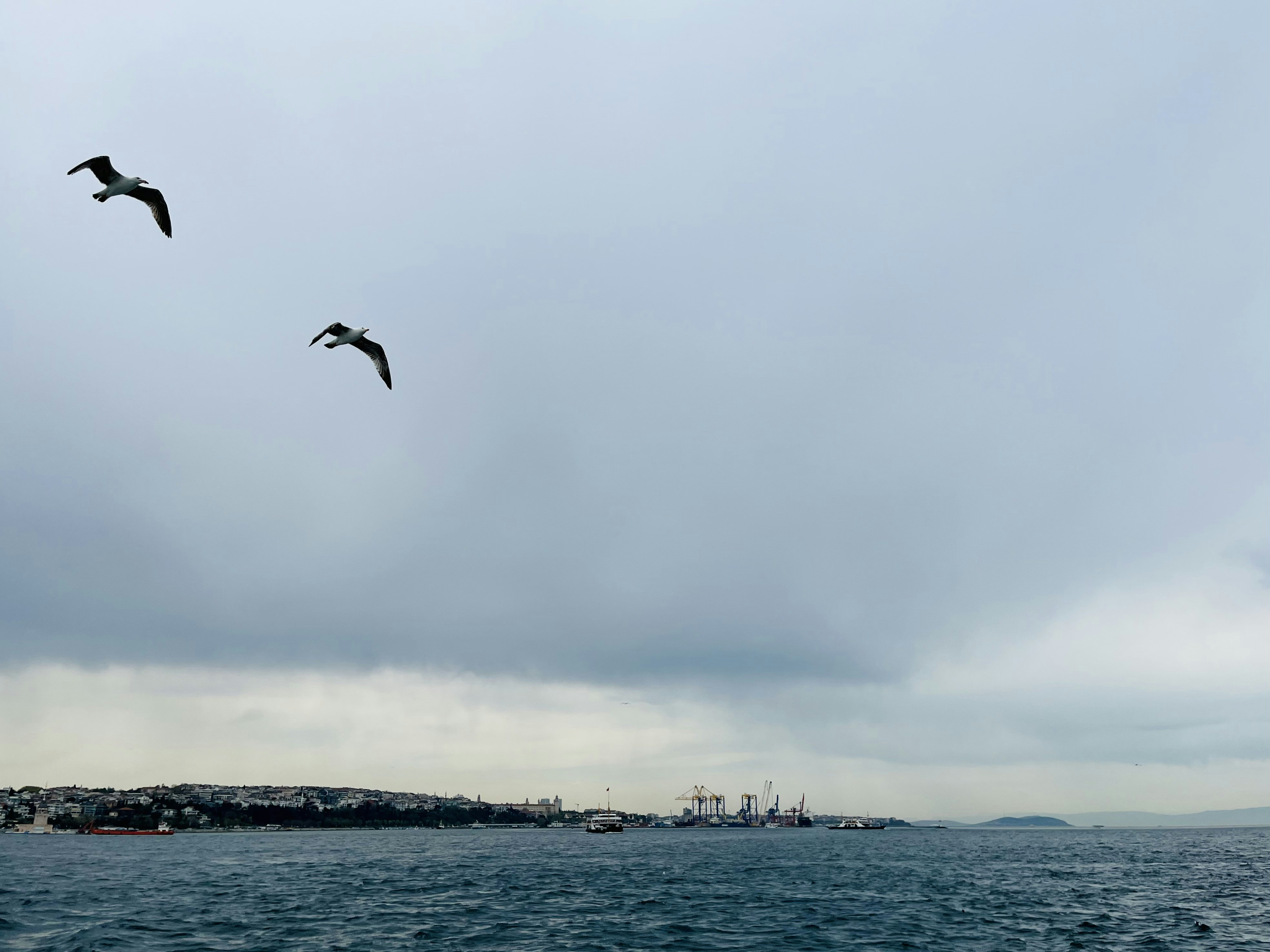 Photo by mojganshabani