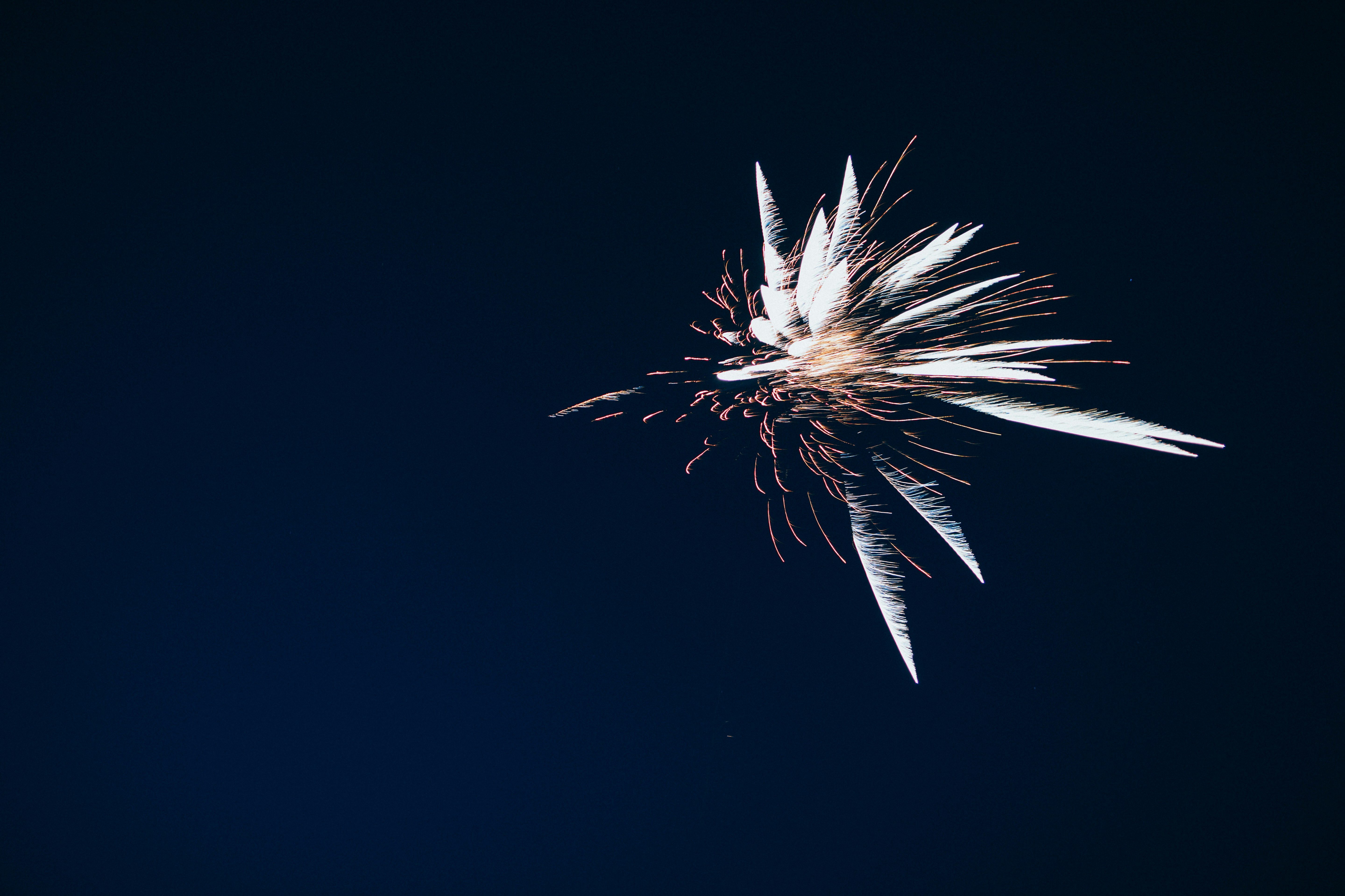 a large white flower is in the air