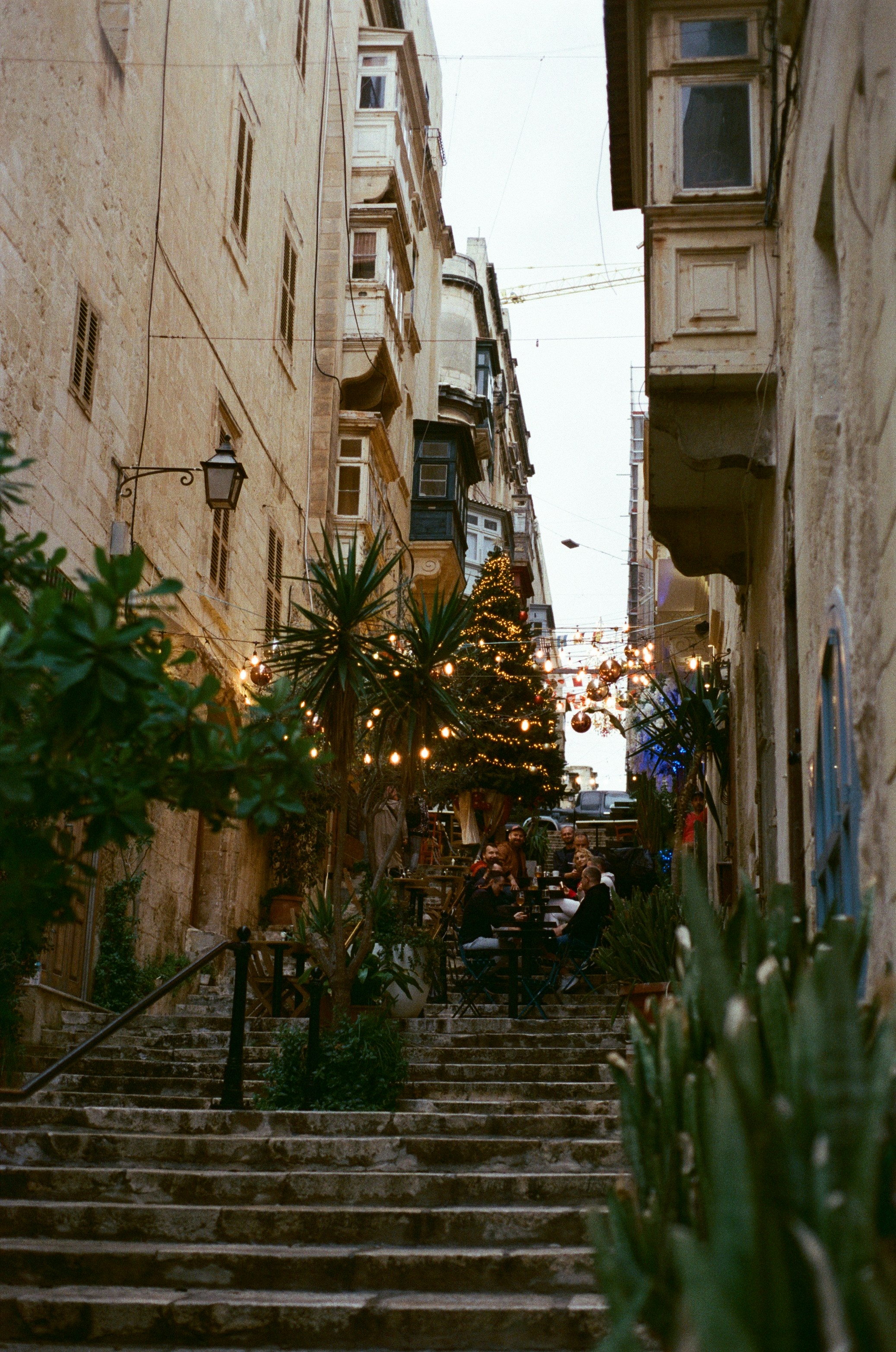 Photo by sashamatveeva