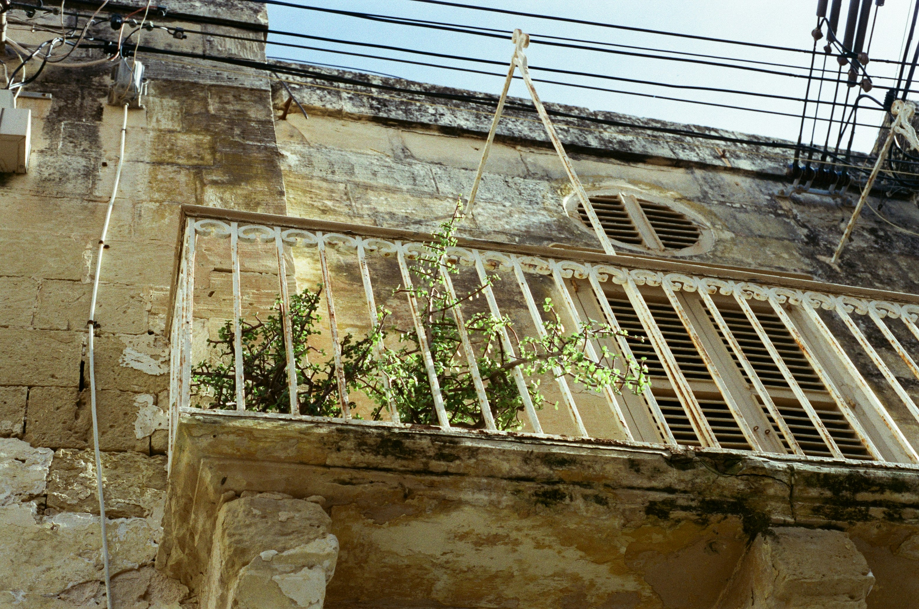 Photo by sashamatveeva