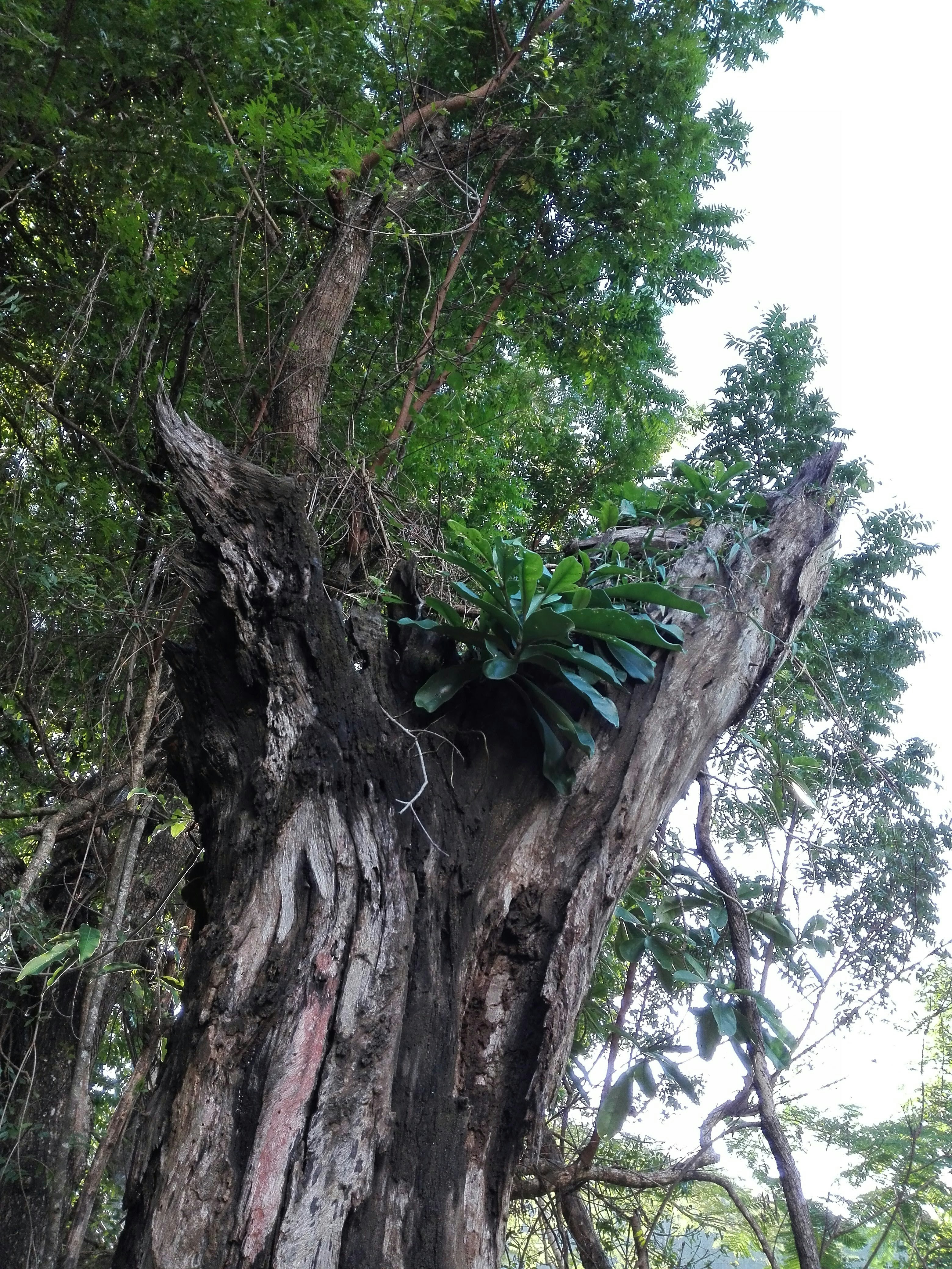 Photo by madhavatennakoon