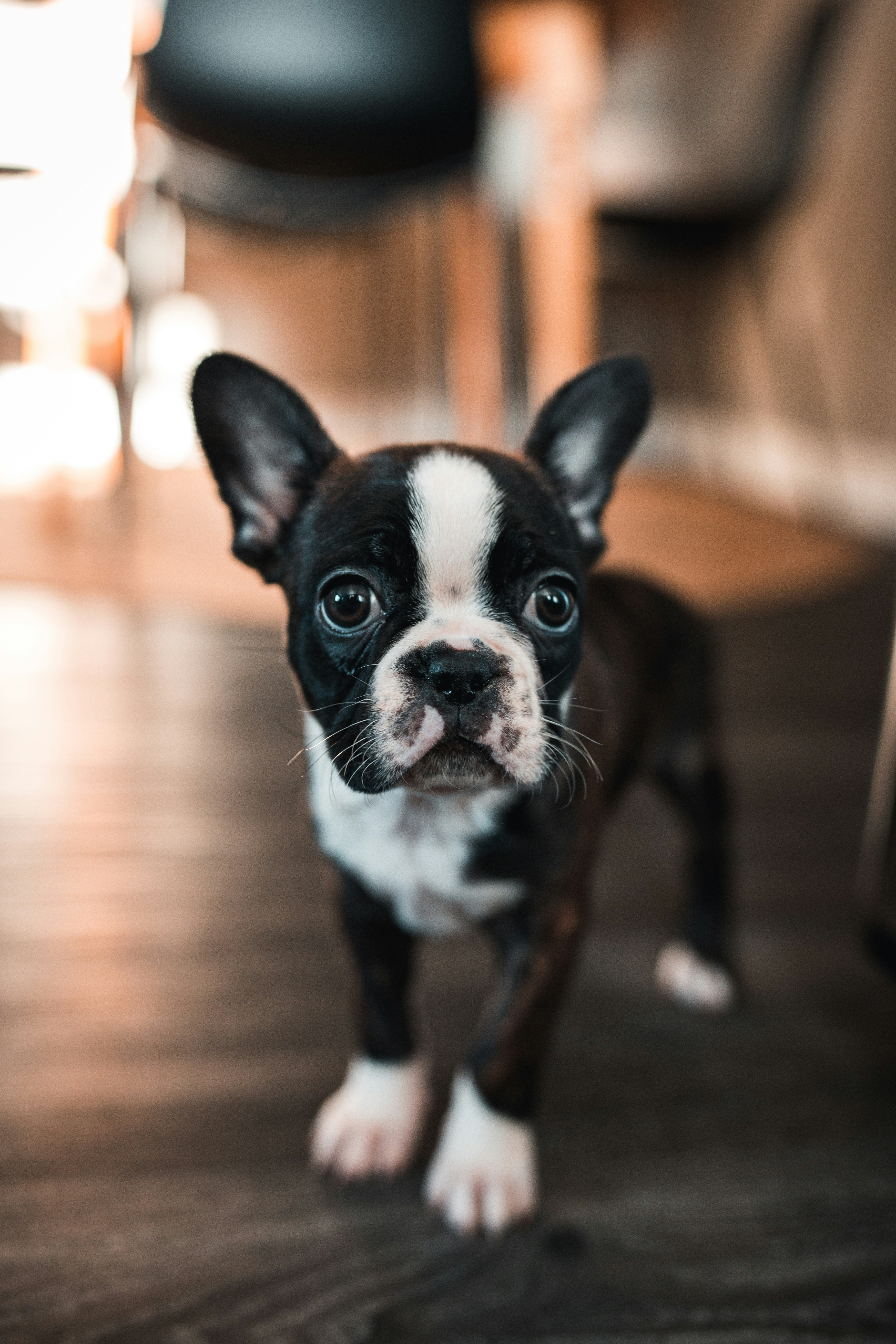 Photo by visualsbyroyalz