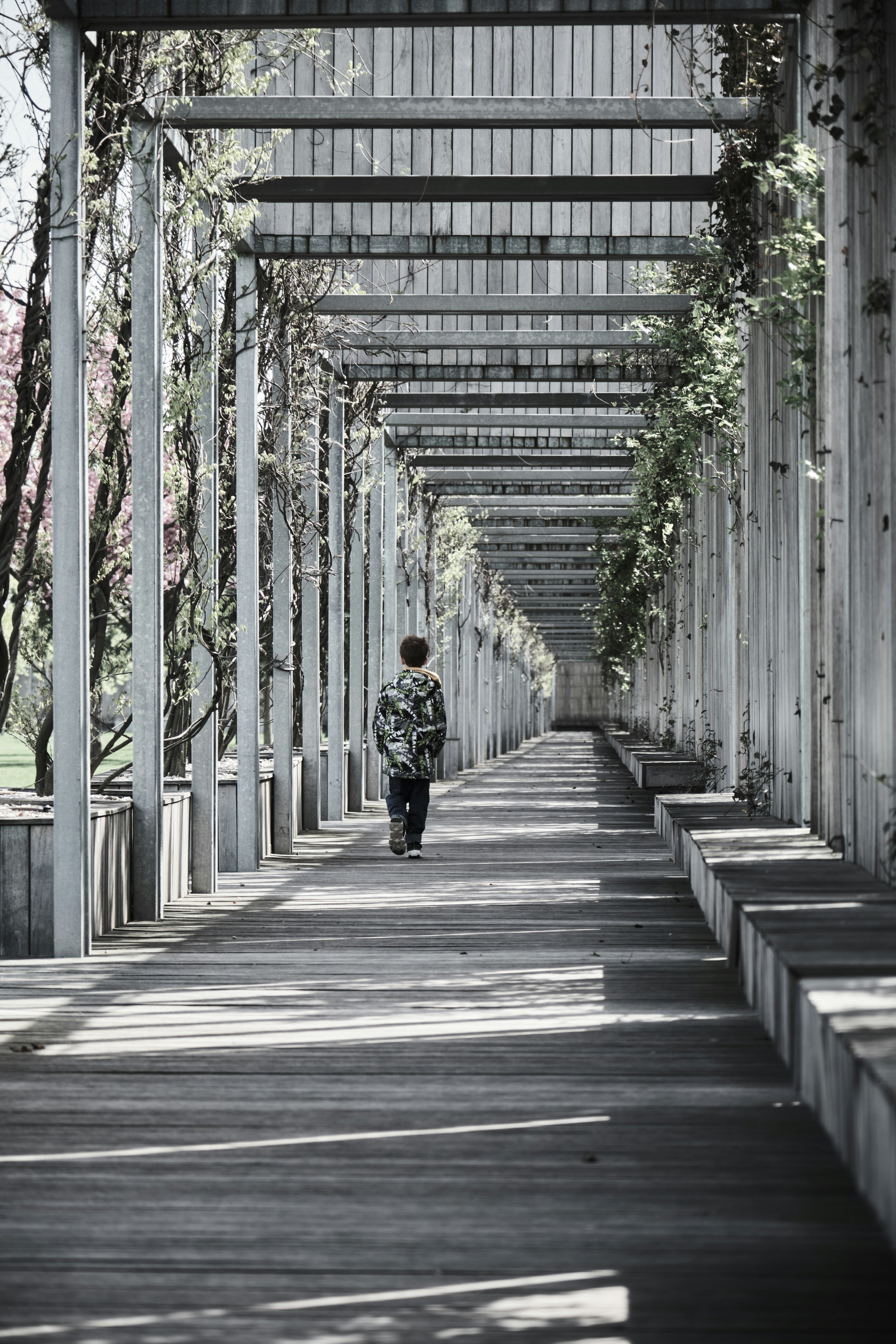 a person walking down a walkway under a canopy