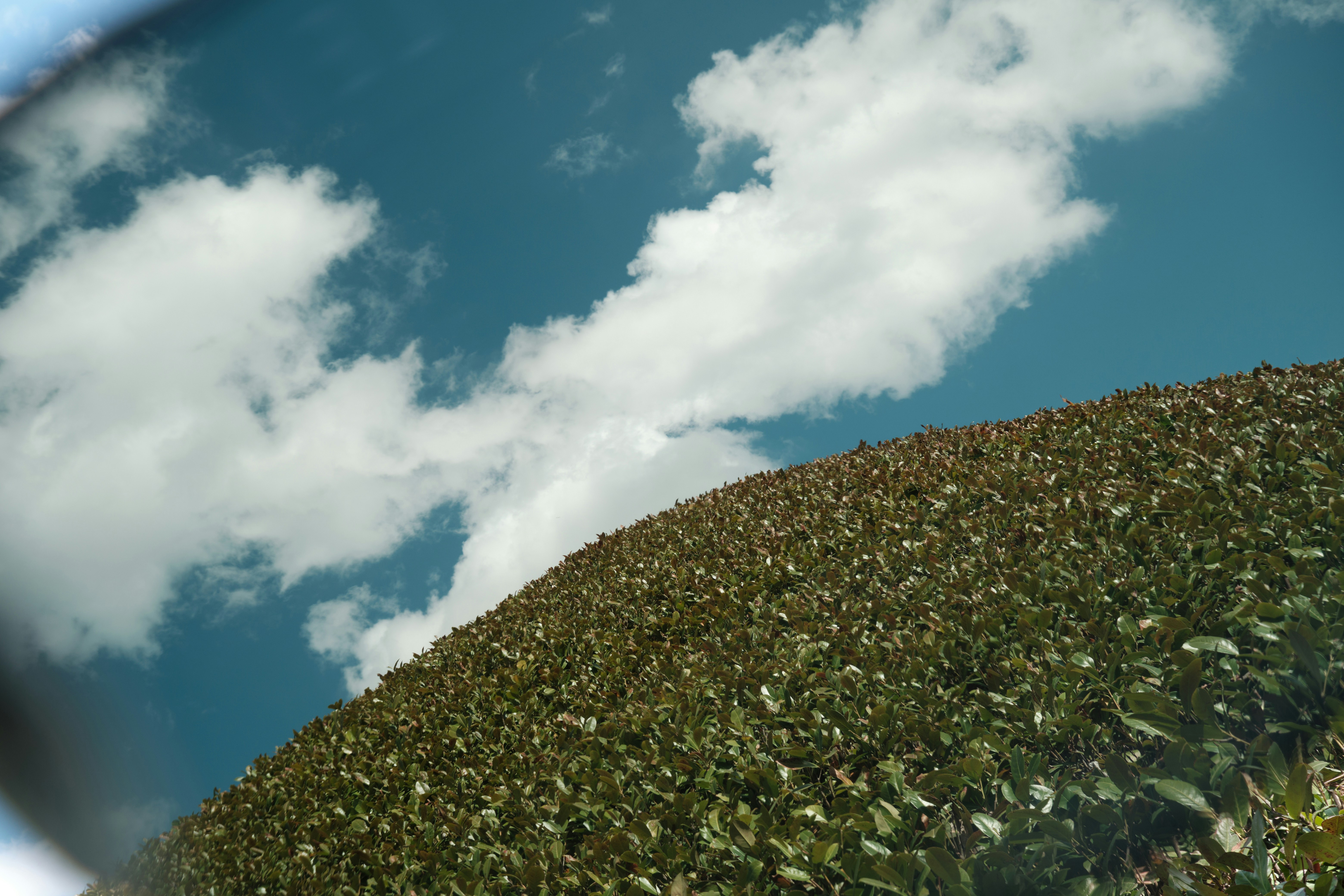 a mirror image of a sky and clouds