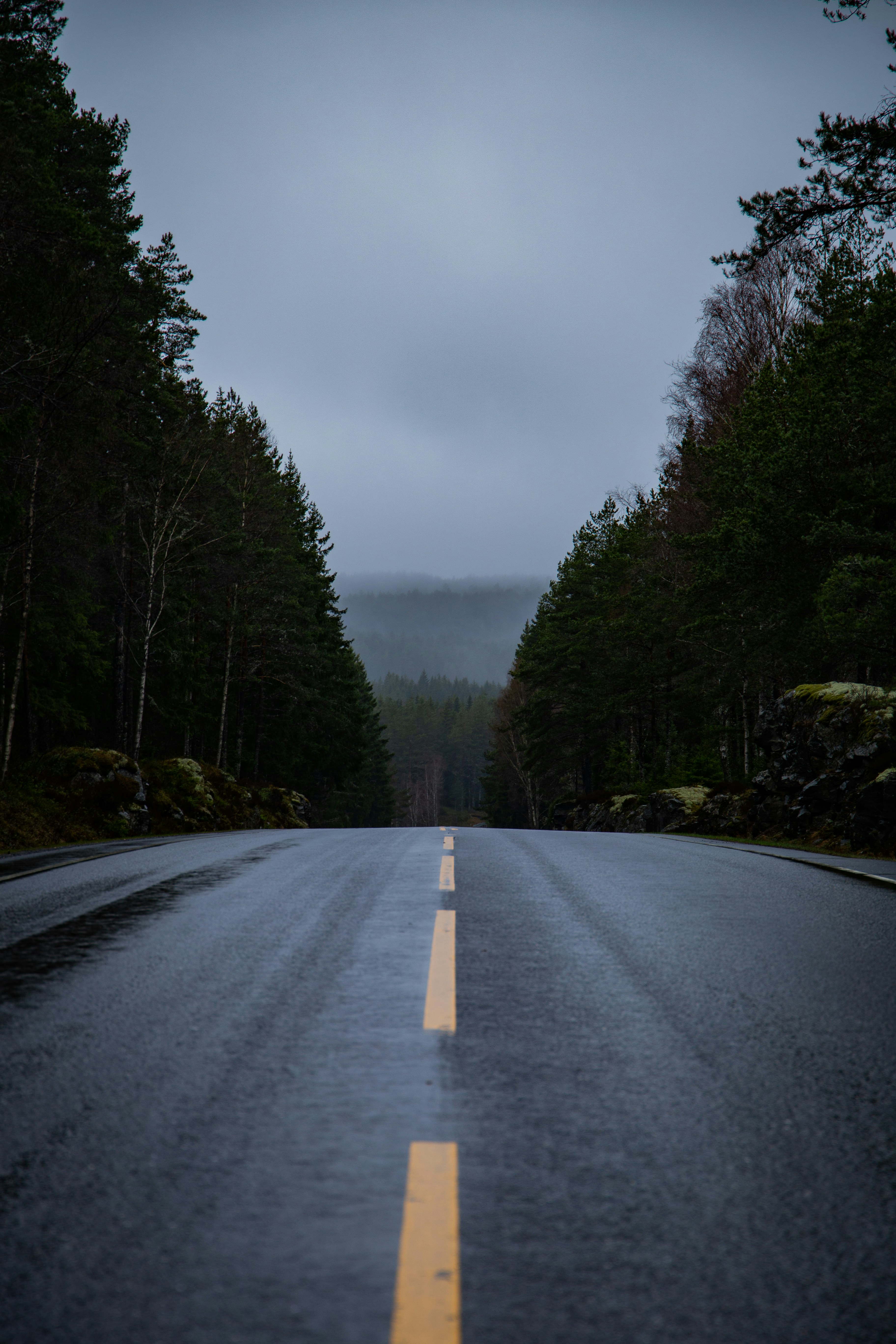 Photo by erik_ada