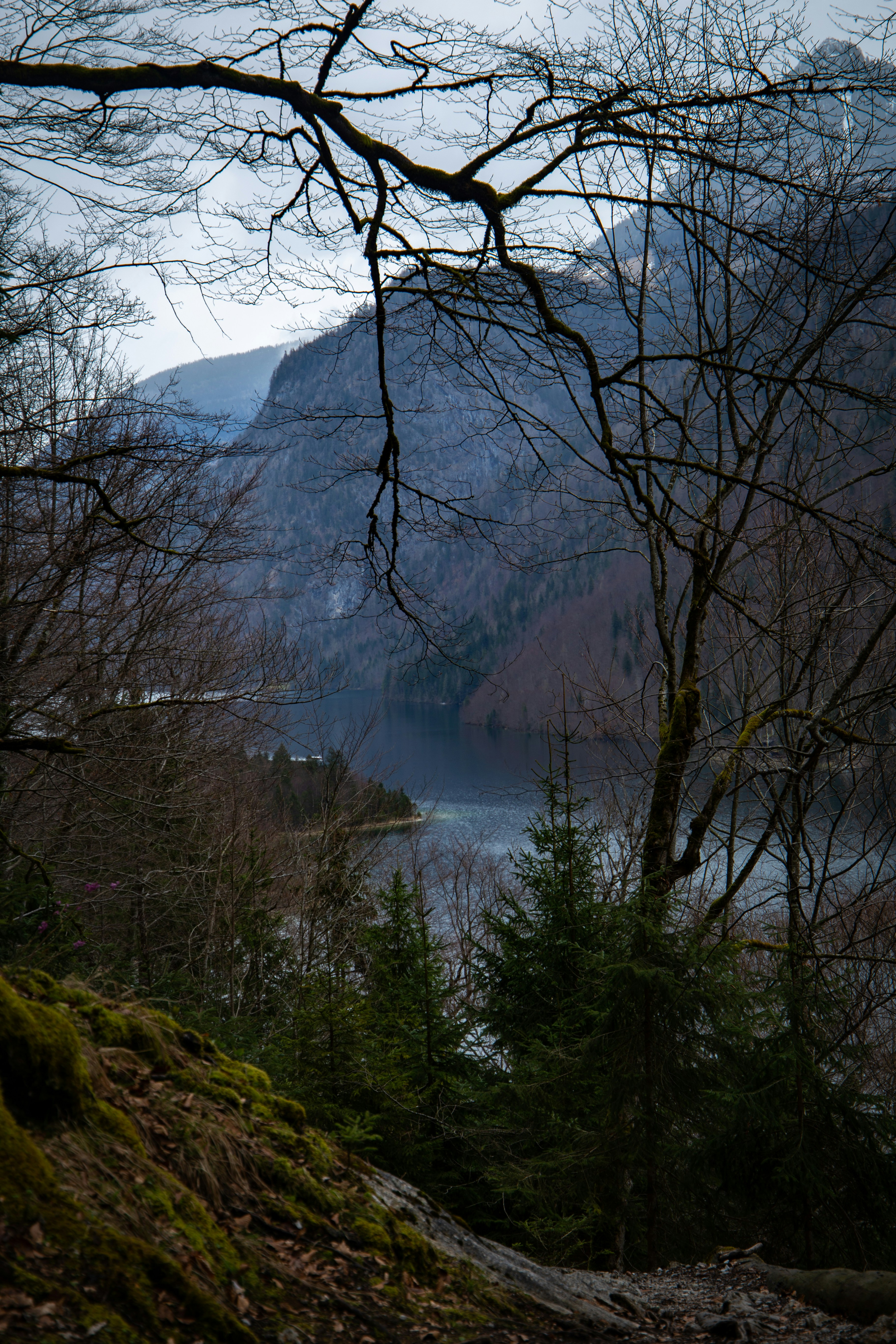 uma vista de um lago através de algumas árvores