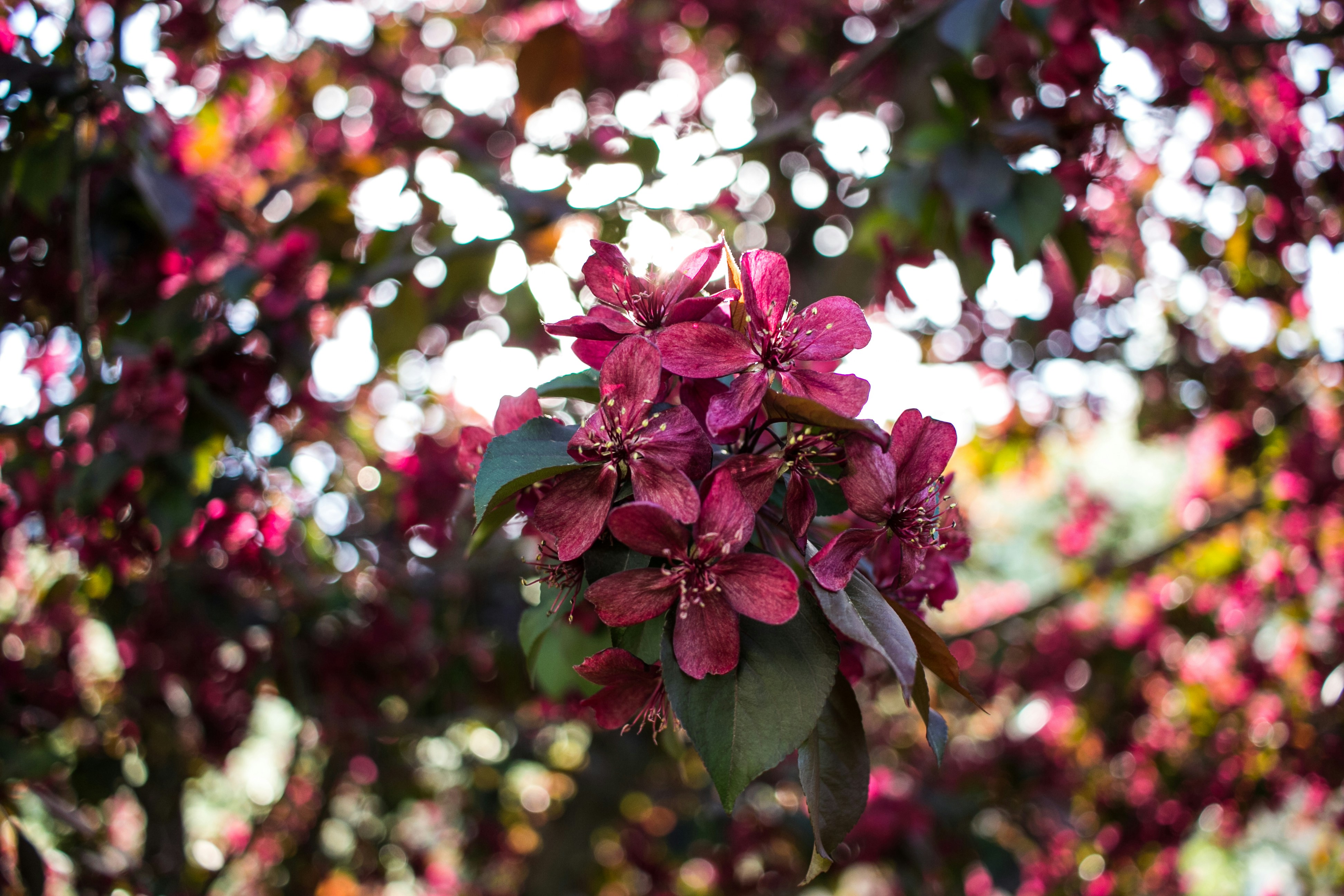 Photo by romanvolkov