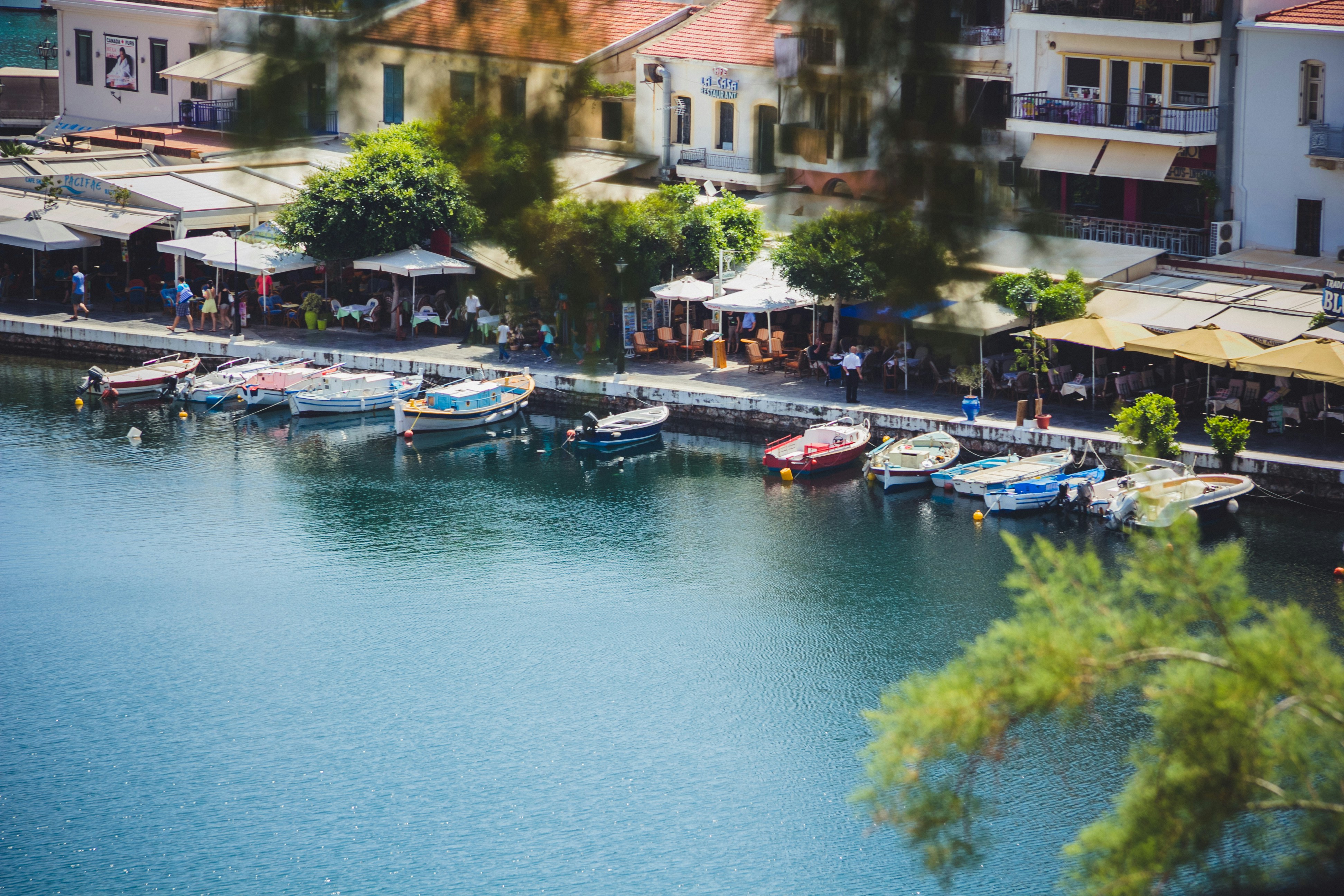 Photo by romanvolkov