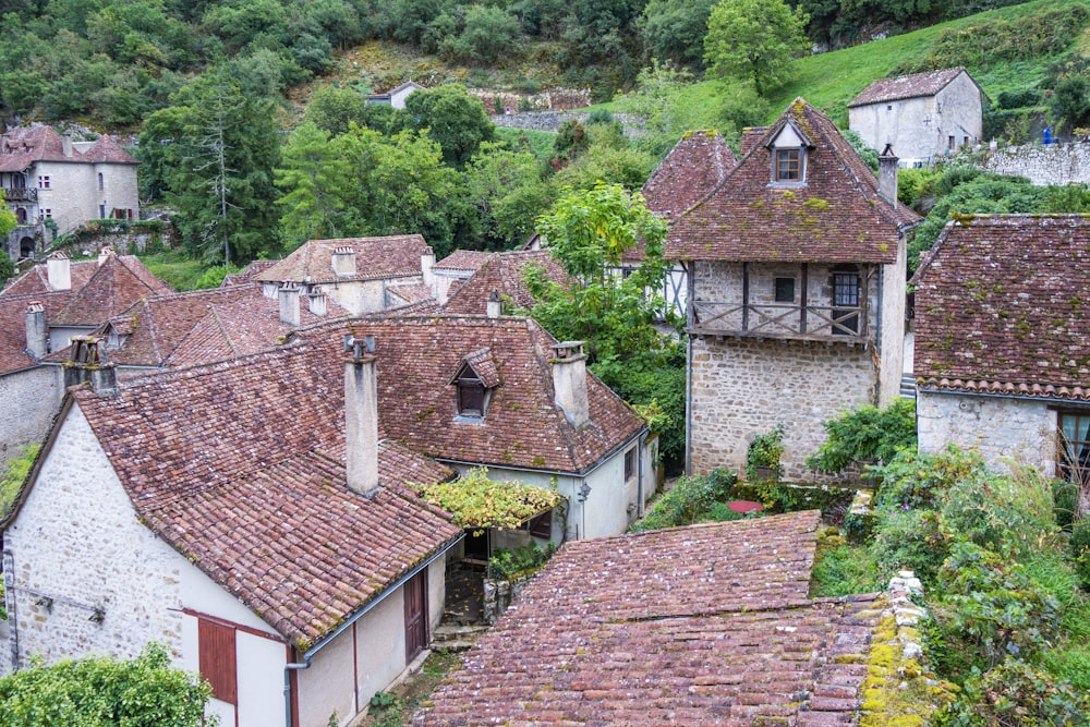 an aerial view of a village in the mountains