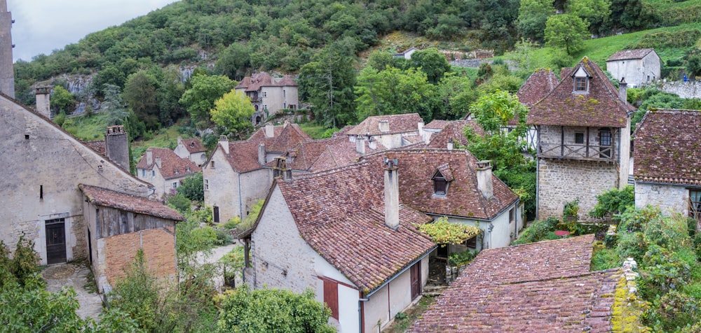 a view of a village from a high point of view