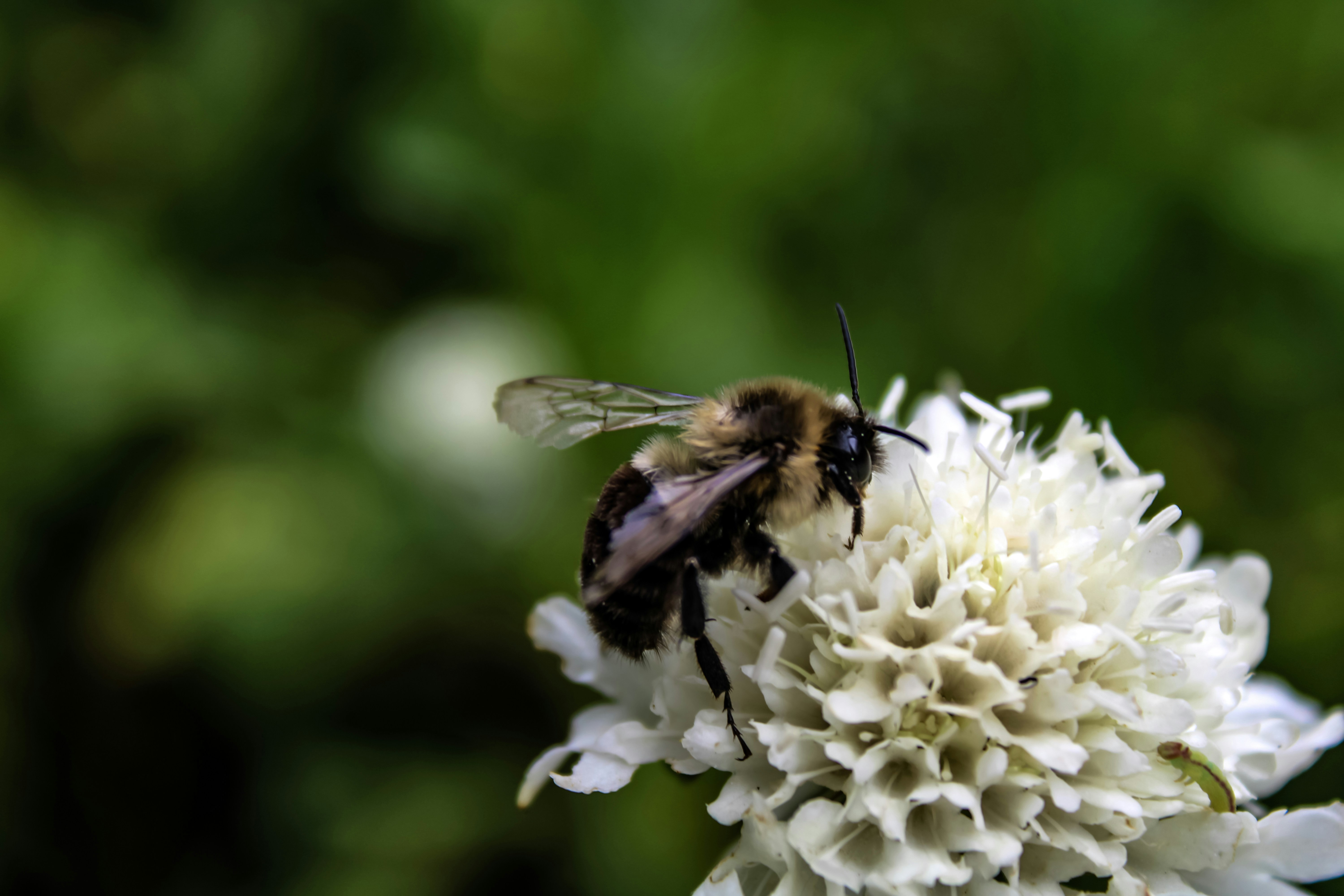 Photo by gabrielle_wright