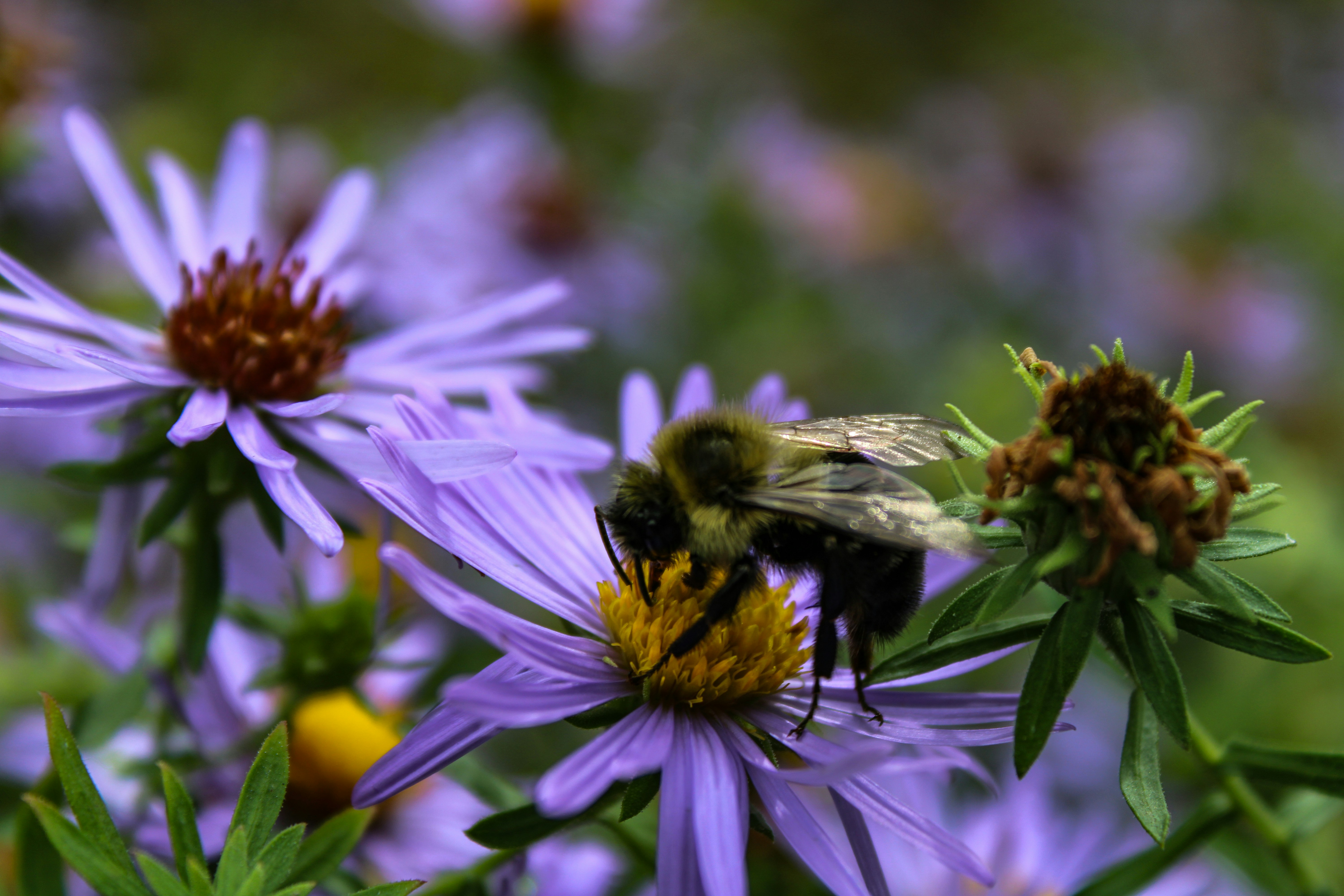 Photo by gabrielle_wright