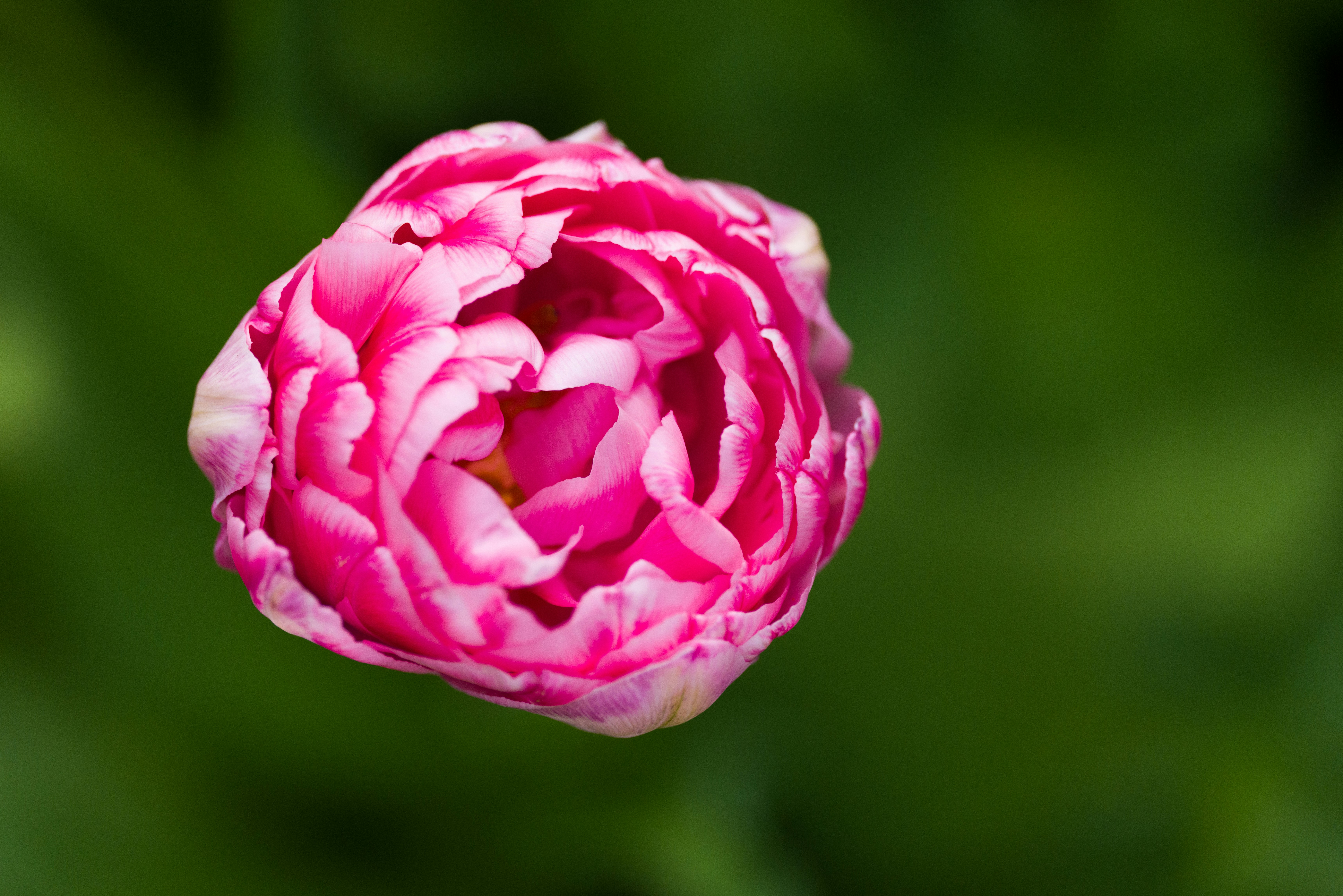 Photo by georgeiermann