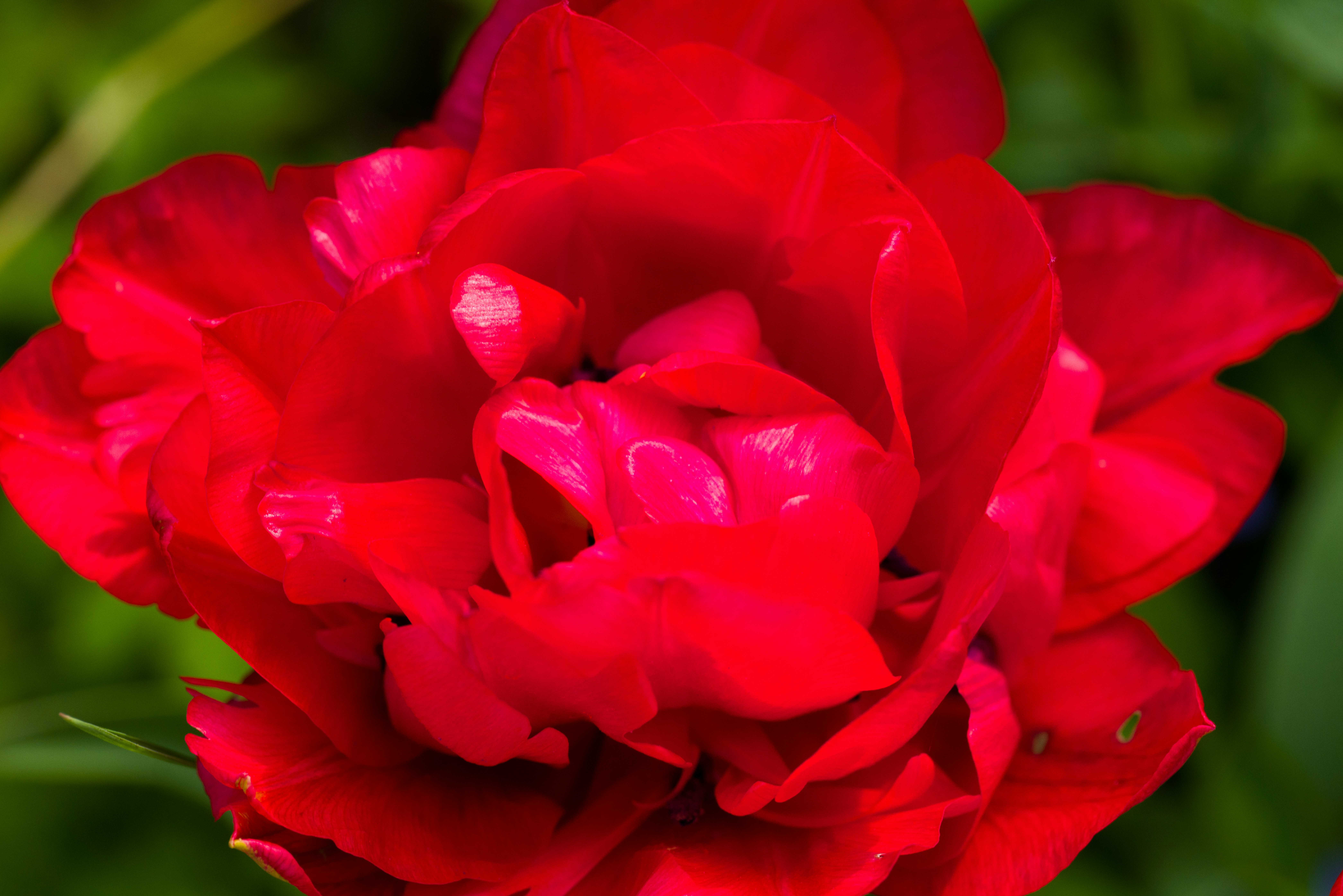 Photo by georgeiermann