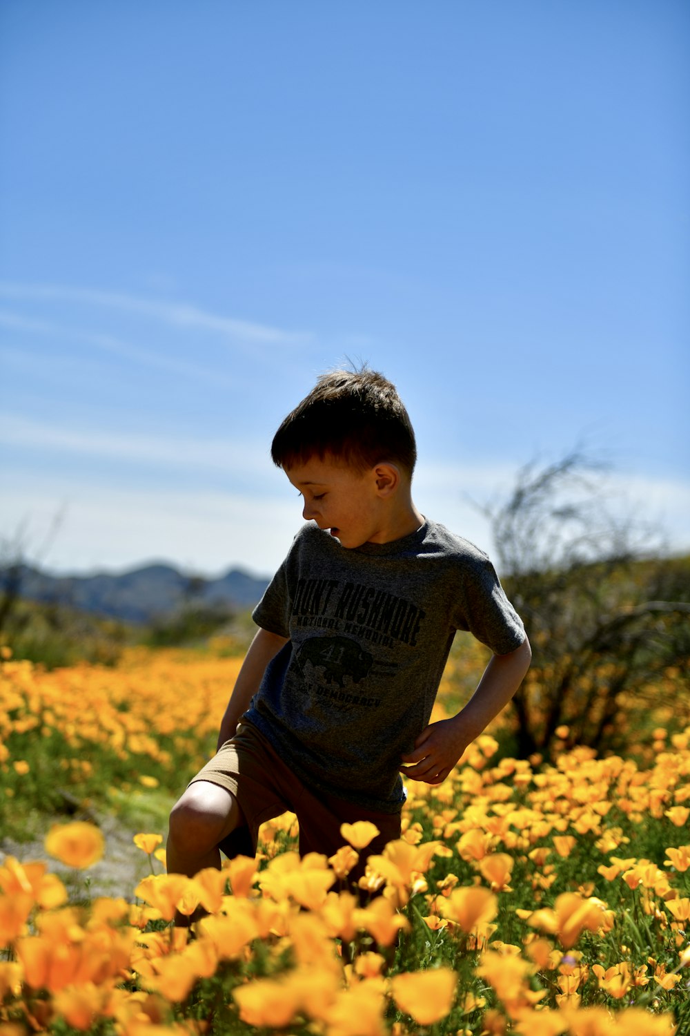 a young boy standing in a field of yellow flowers