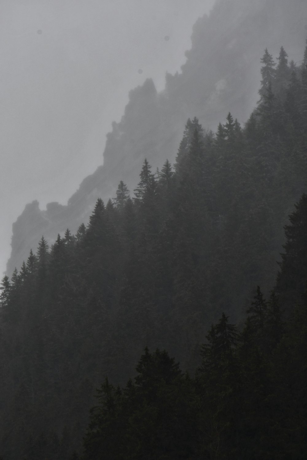 a plane flying over a forest on a foggy day