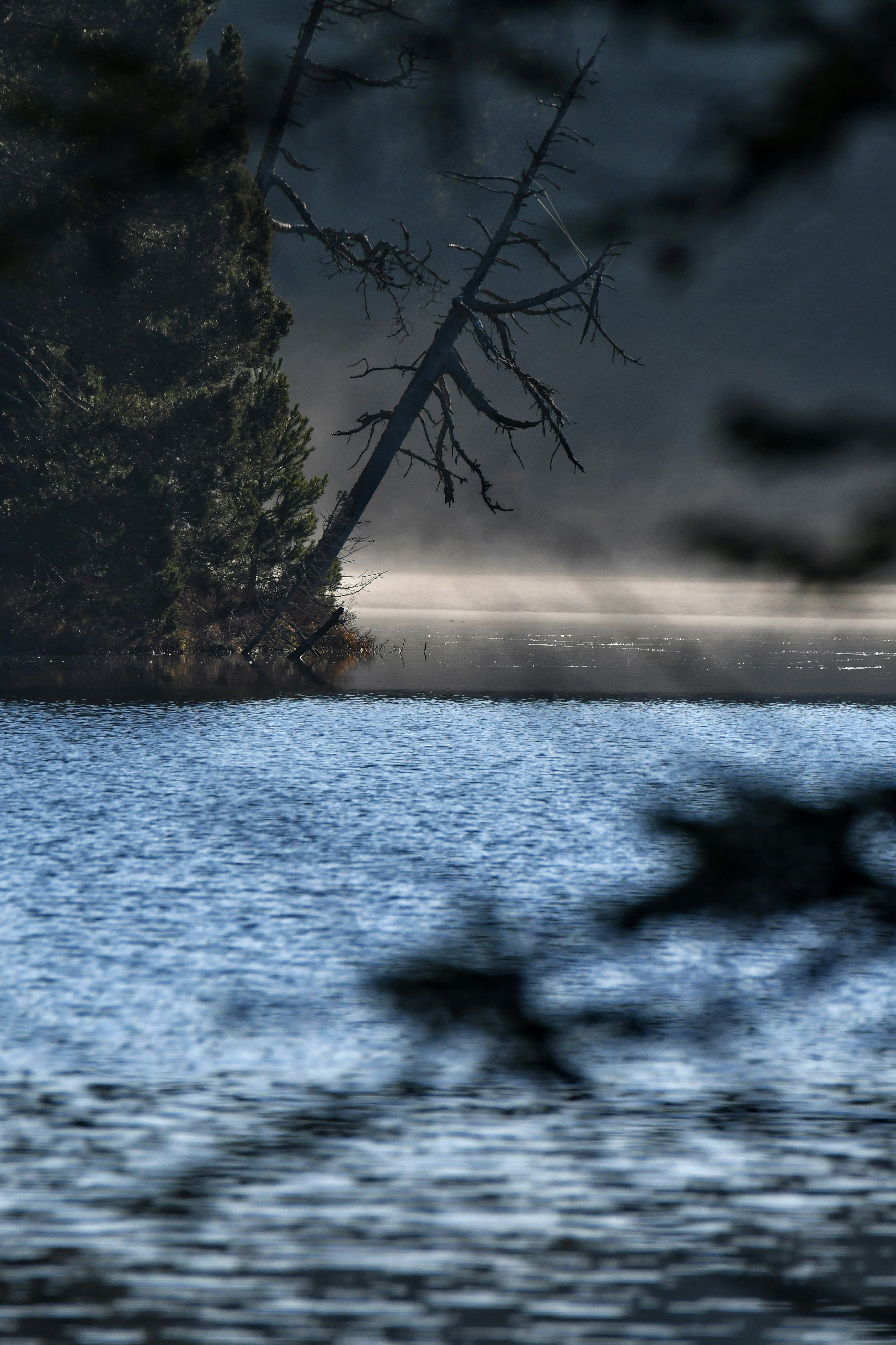 Photo by pedrino5_official