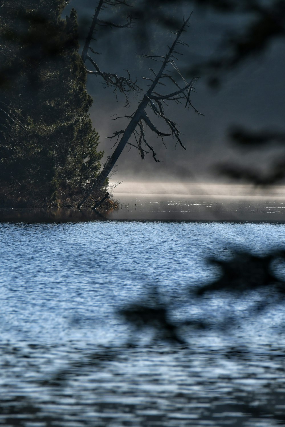 a body of water with trees in the background