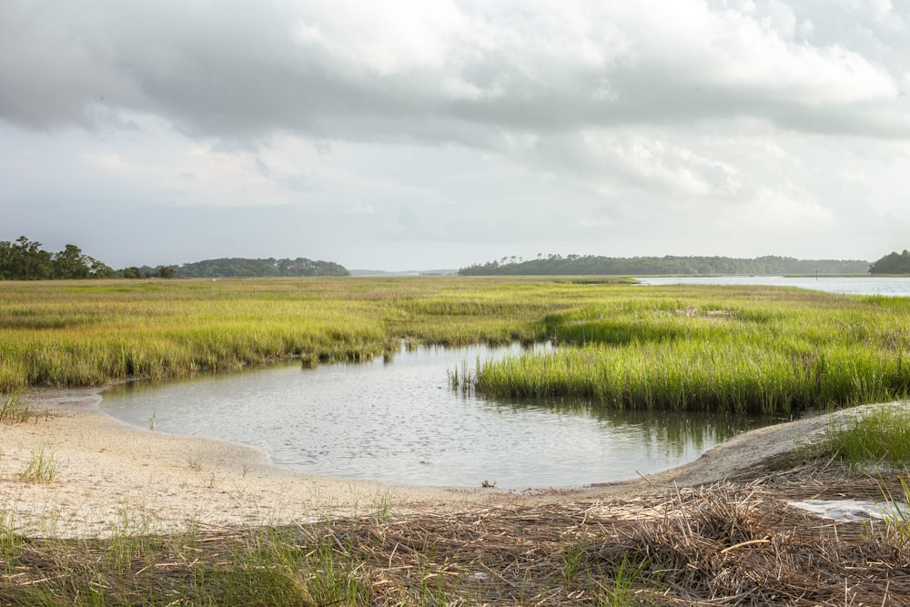 a body of water surrounded by green grass