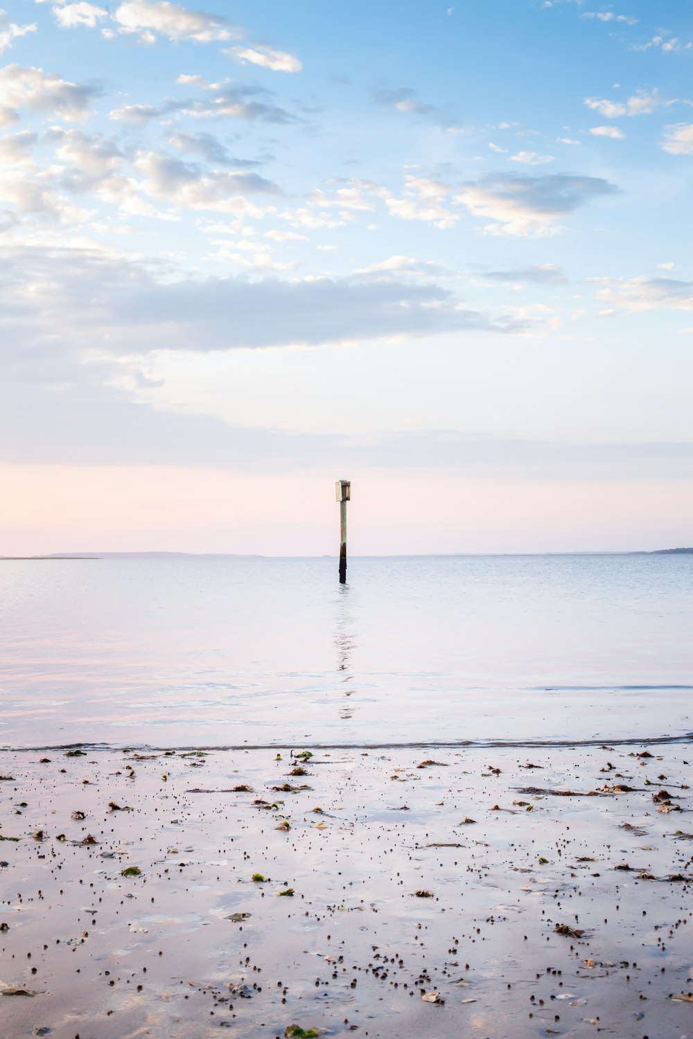 uno specchio d'acqua con un palo che sporge da esso