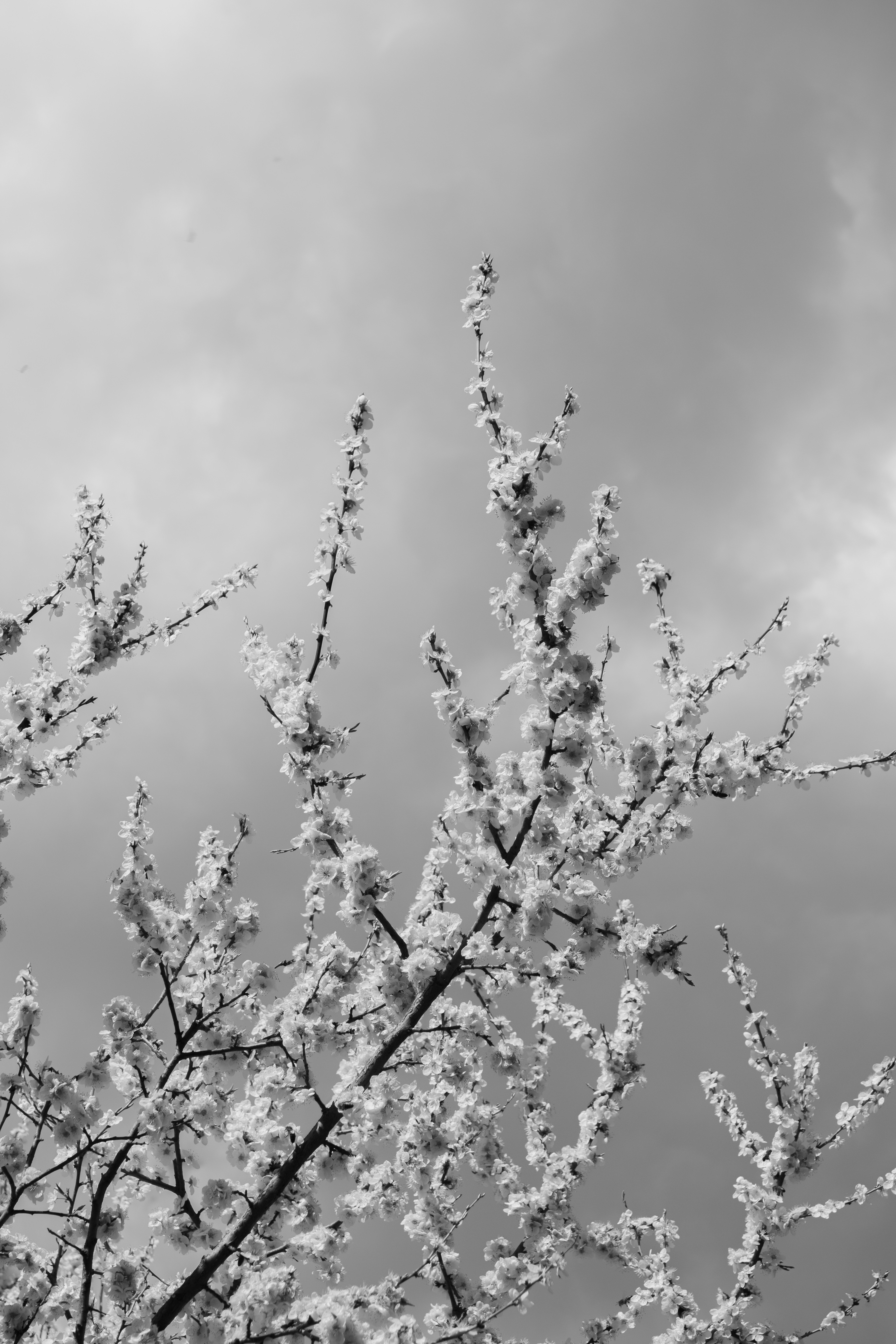 Photo by redredorange