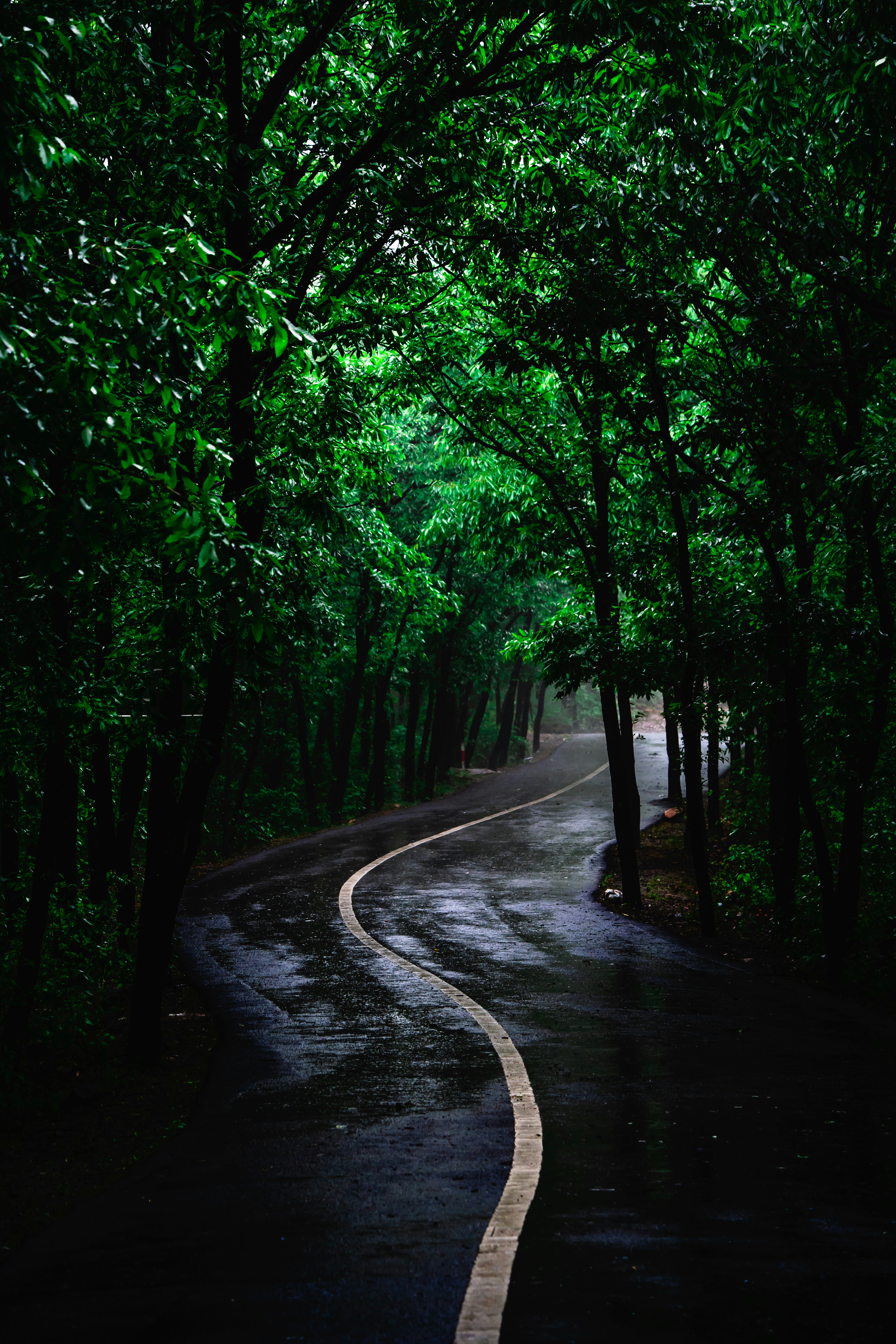 Photo by shotbyjf