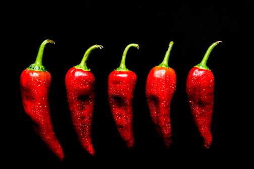 Fresh red chili peppers arranged in neat rows on a dark background.