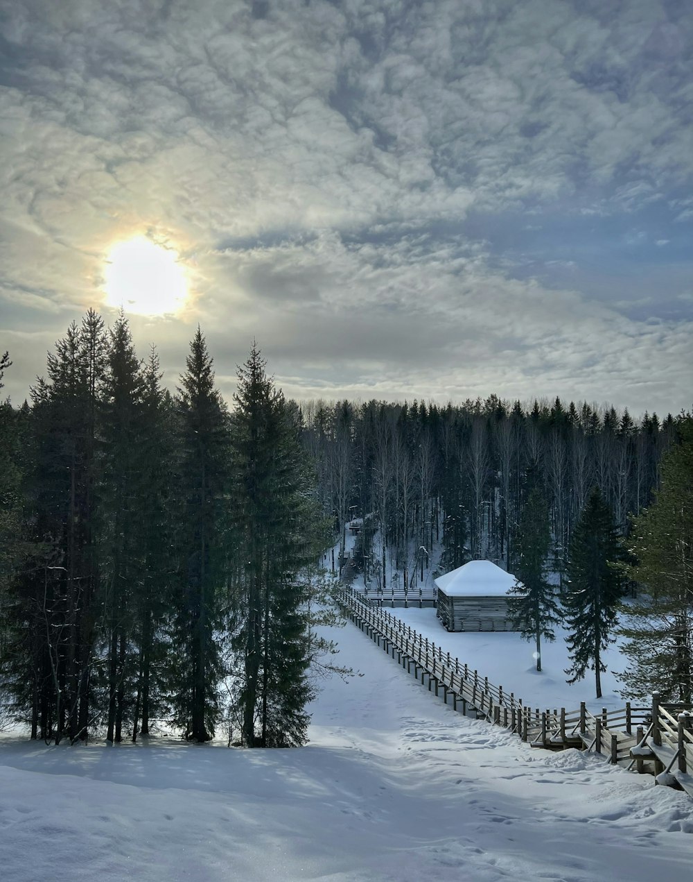 ein schneebedecktes Feld mit Bäumen und einer Hütte im Hintergrund