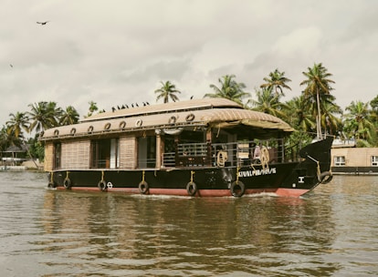 A traditional houseboat with a thatched roof floats on calm waters. The boat has circular windows and a spacious open area. In the background, lush palm trees line the riverbank, and a few birds soar in the sky.