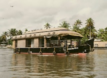 A traditional houseboat with a thatched roof floats on calm waters. The boat has circular windows and a spacious open area. In the background, lush palm trees line the riverbank, and a few birds soar in the sky.