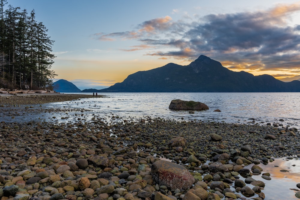 a rocky beach with a mountain in the background