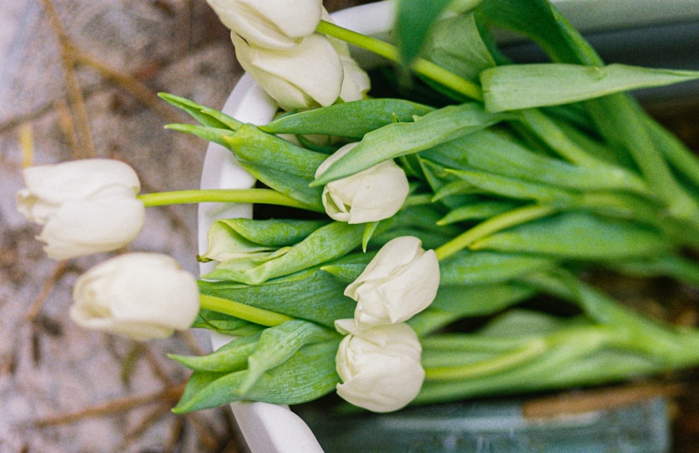 a bunch of white tulips in a white bowl