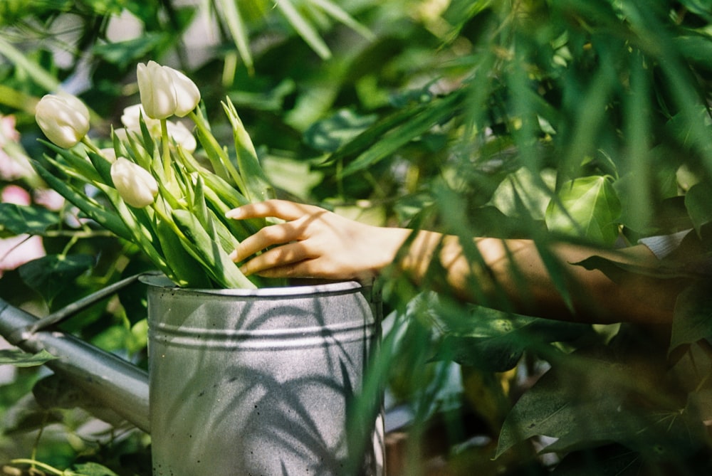 a person holding a watering can filled with white flowers